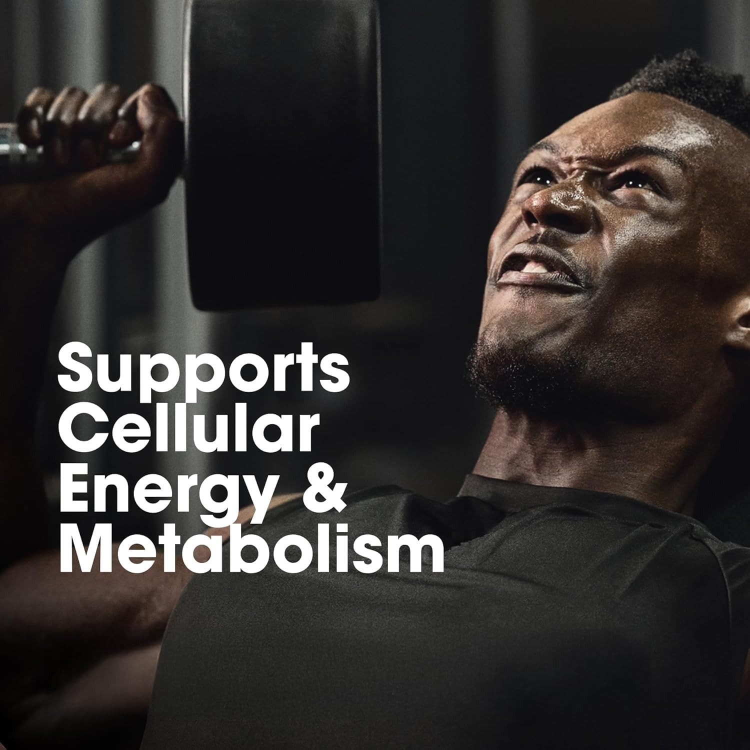 Optimum Nutrition Multivitamin for MEN– 60 Tablets, 26 Vitamins & Mineral – 60N