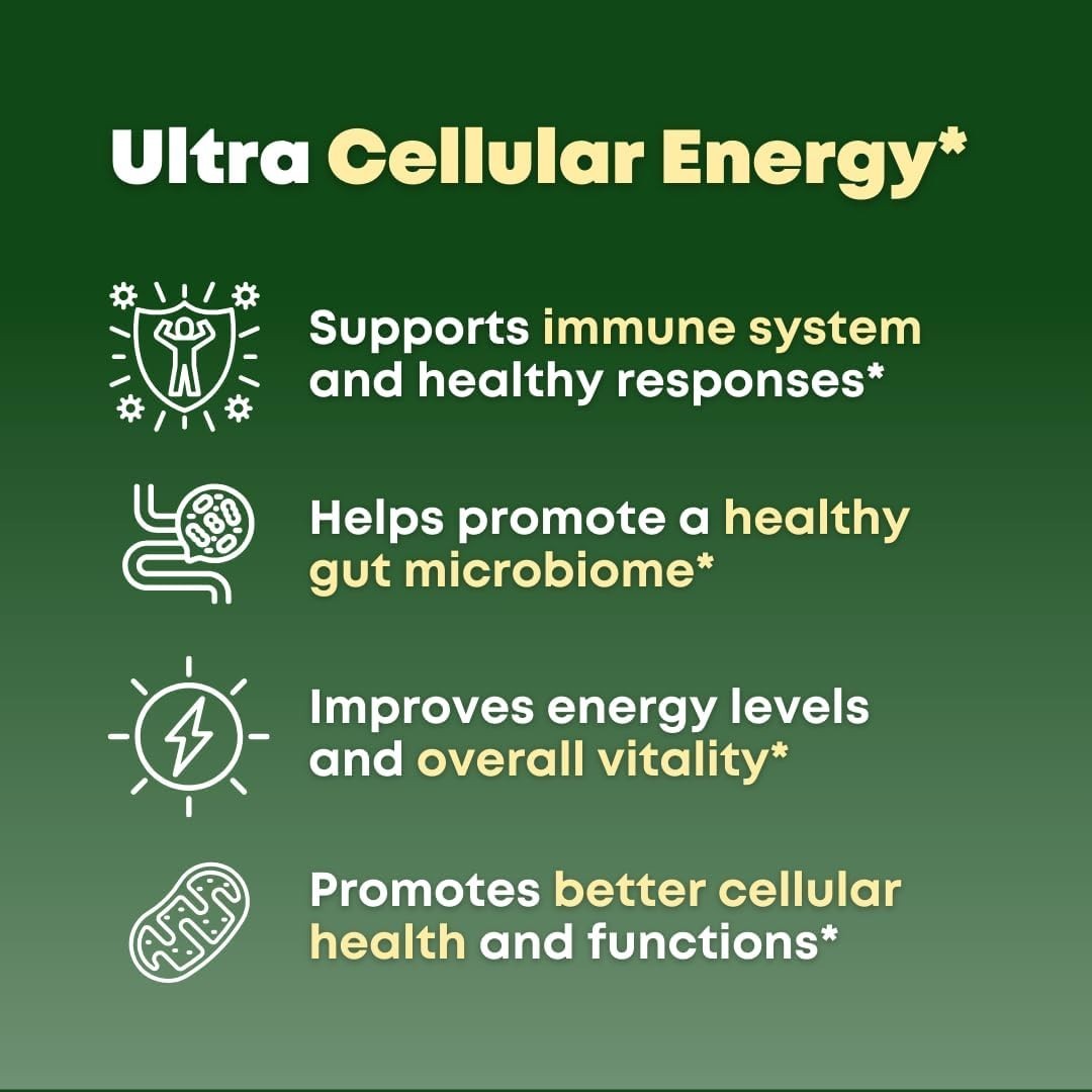 Beta Glucan & Fucoidan Brown Seaweed Extract – Immune, Cellular, Aging Support