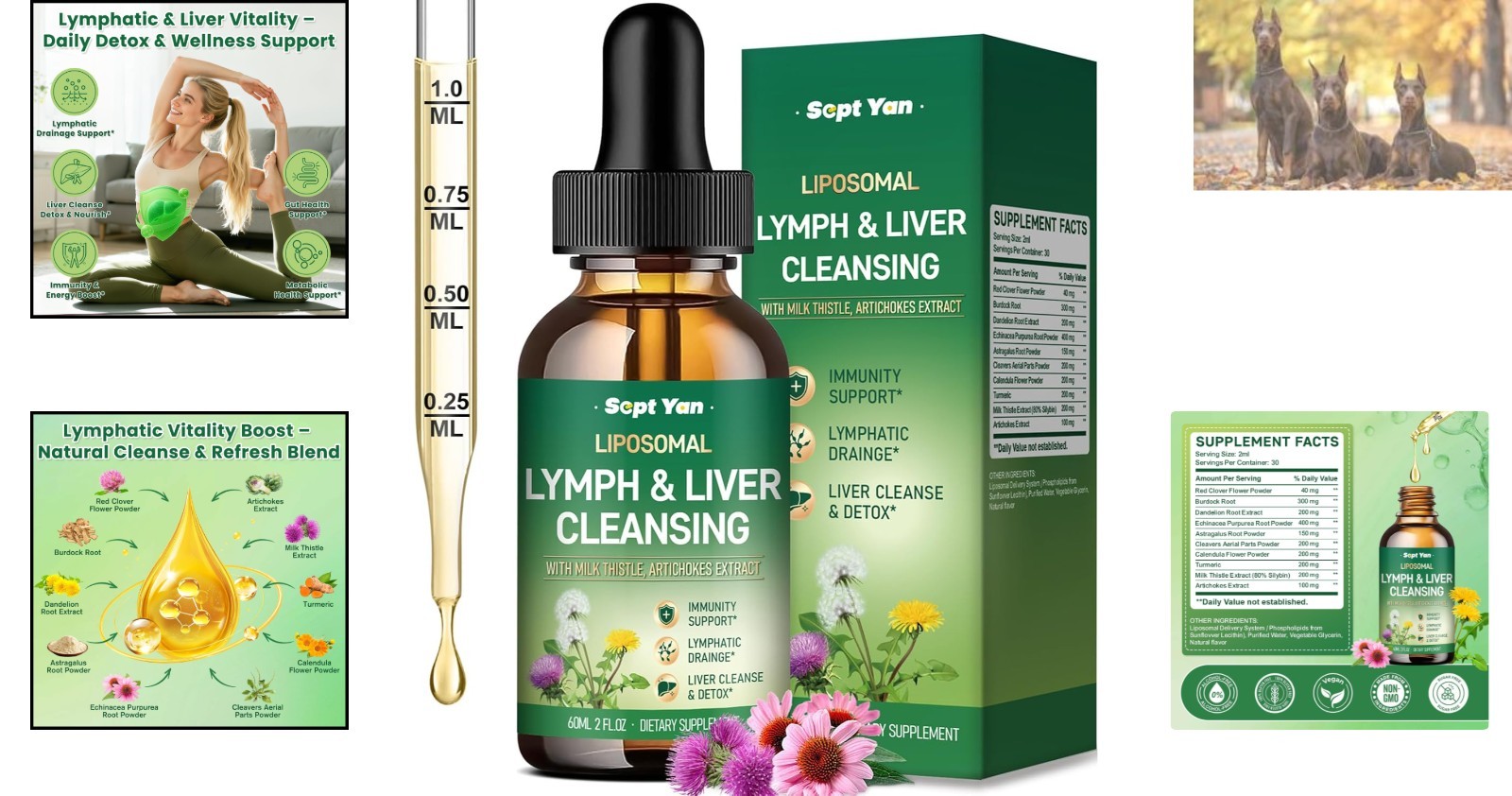 Liver Cleanse & Immune Support Drops – Liposomal Lymphatic Formula – 2 Fl Oz