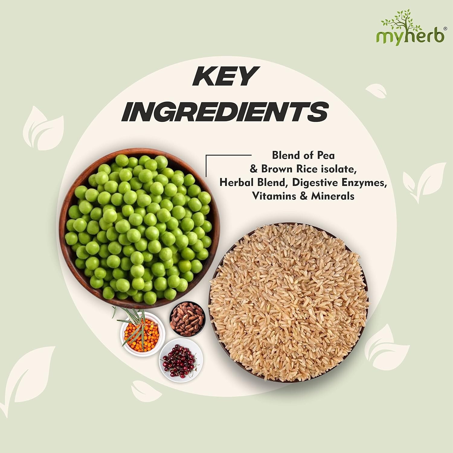 MYHERB Plant Protein Powder | Pea And Brown Rice Protein Powder 500GM