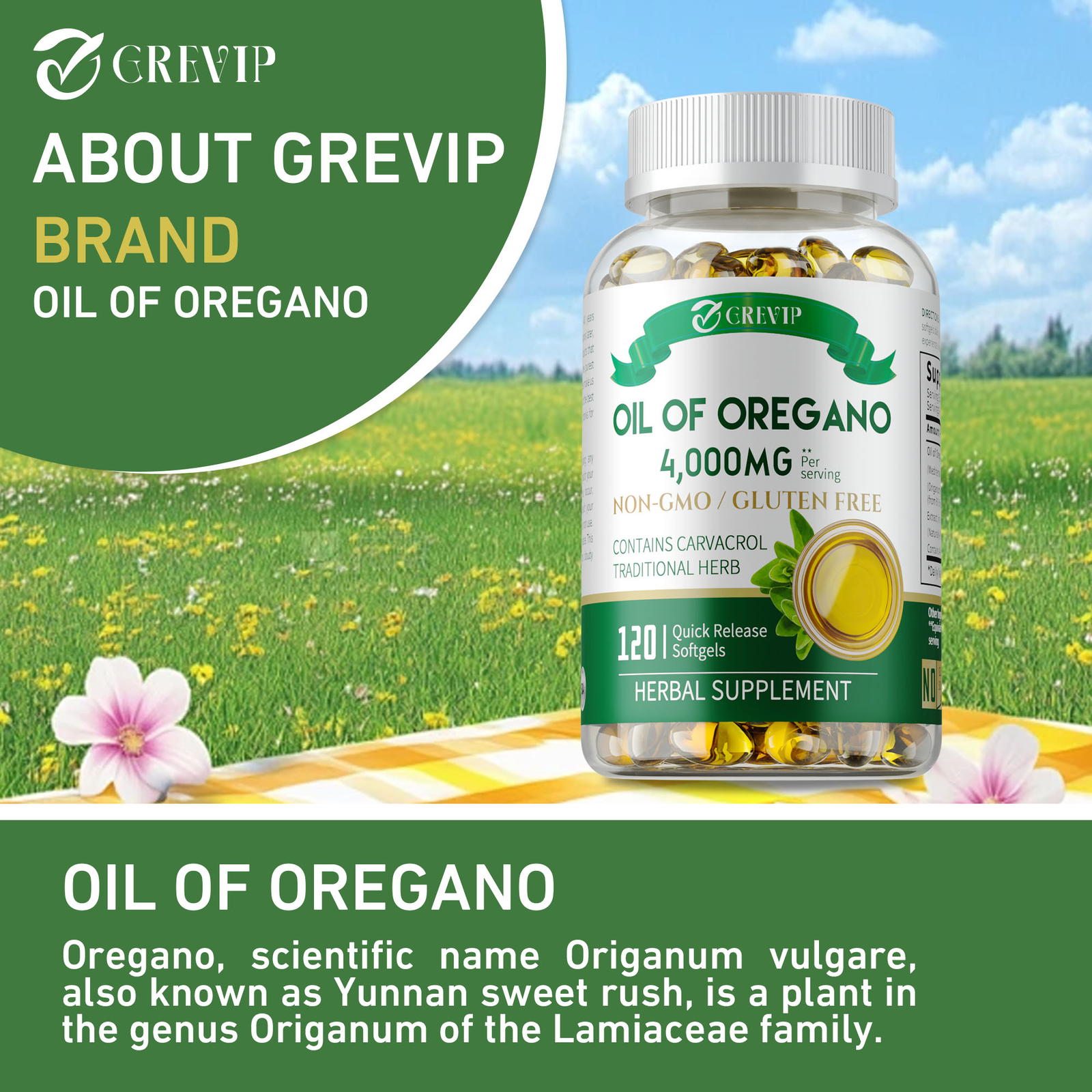 Oil of Oregano Capsules-with Carvacrol, Natural Immune Support, Antioxidant
