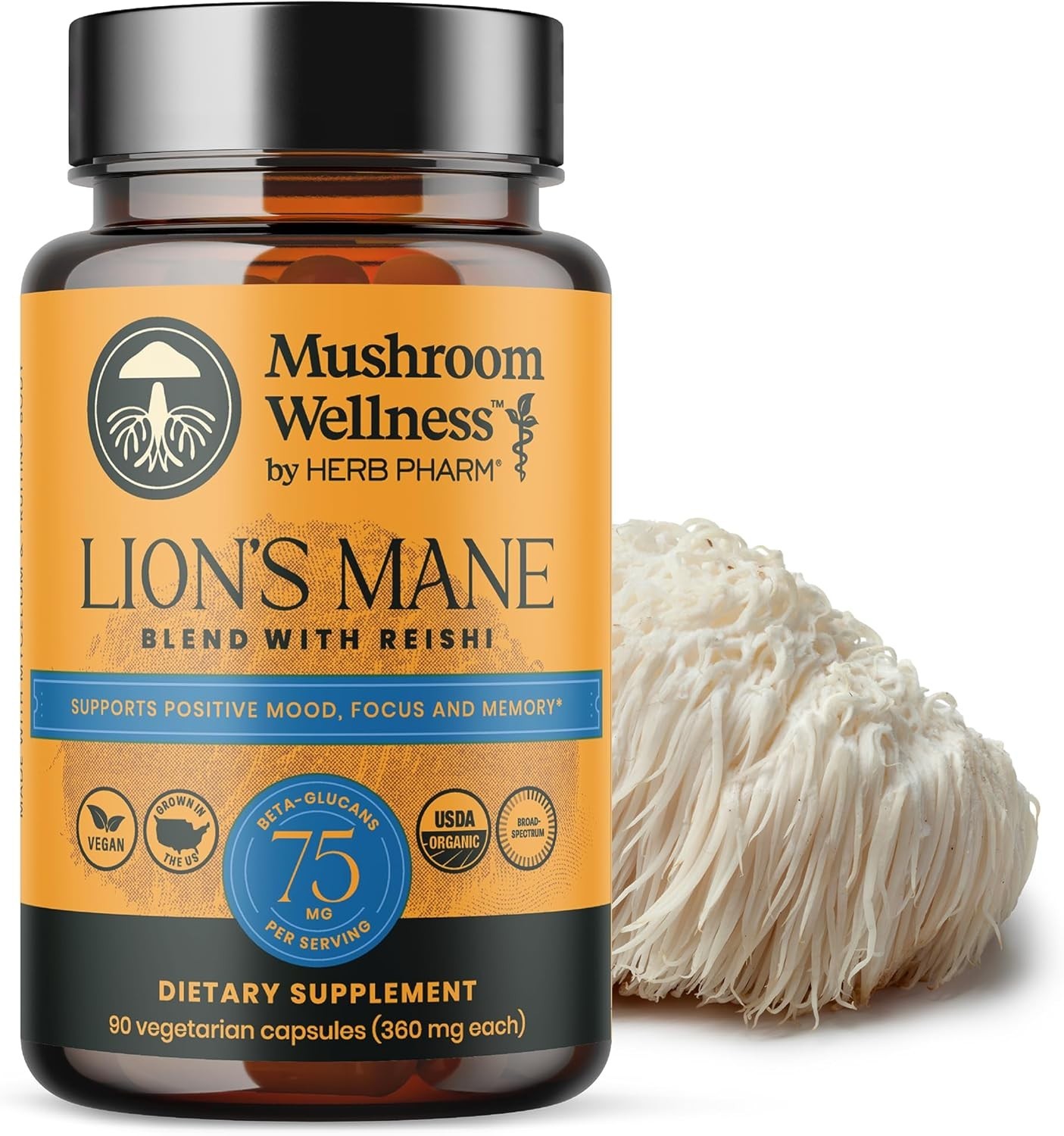 Organic Lion’s Mane & Reishi Capsules – 90 Capsules for Mental Clarity