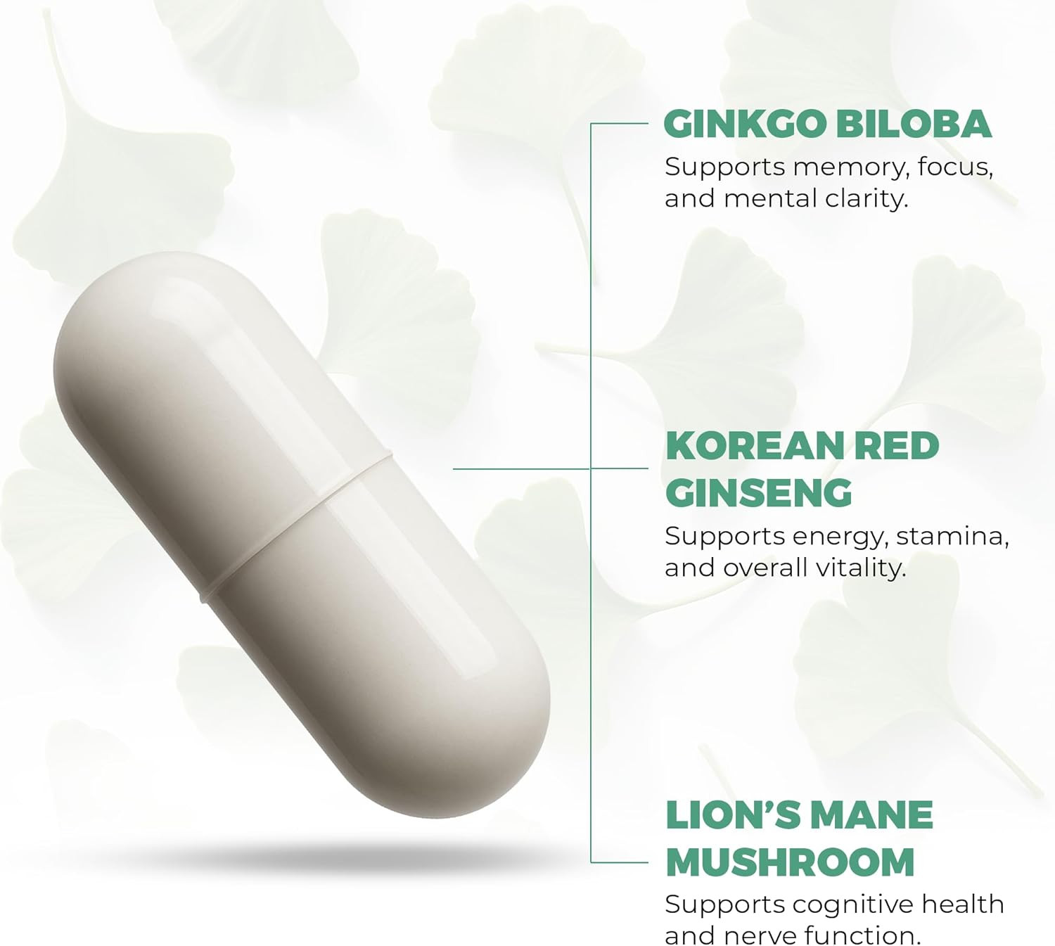 Ginkgo Biloba Supplements 120Mg with Korean Red Ginseng 300Mg & Lion’S Mane Mush