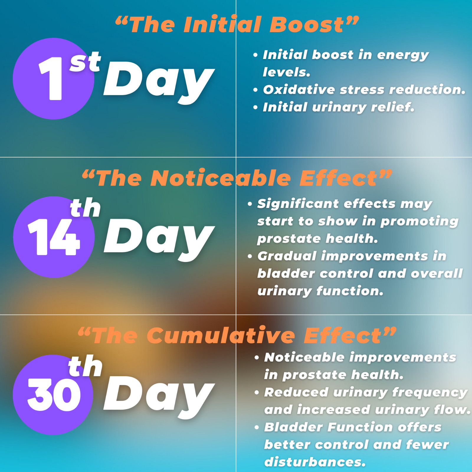 Prostate Support Supplement with Saw Palmetto Extract by Todicamp Products
