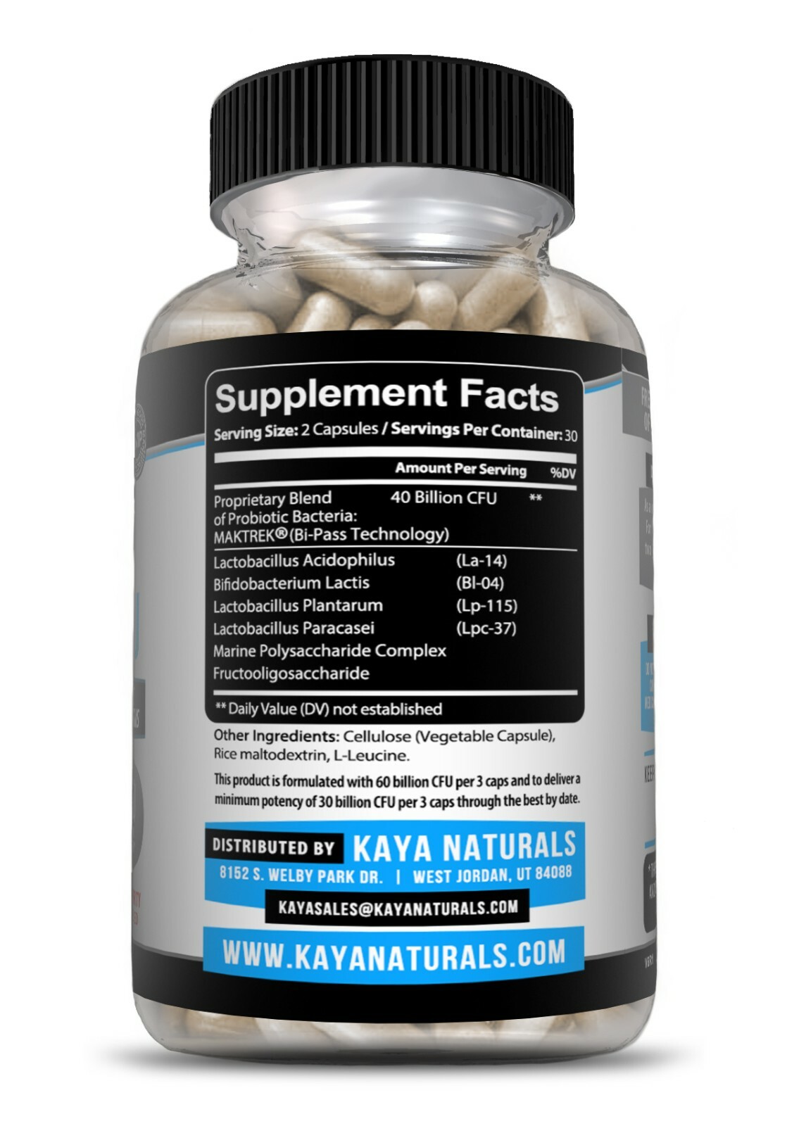 Probiotic 40 Billion CFU Guaranteed Potency Digestive Immune Health 60 Capsules