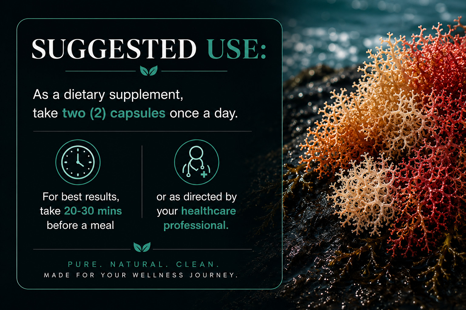 Routine LabX Organic Sea Moss w/ Black Pepper 60 Capsules (1,405mg per serving)