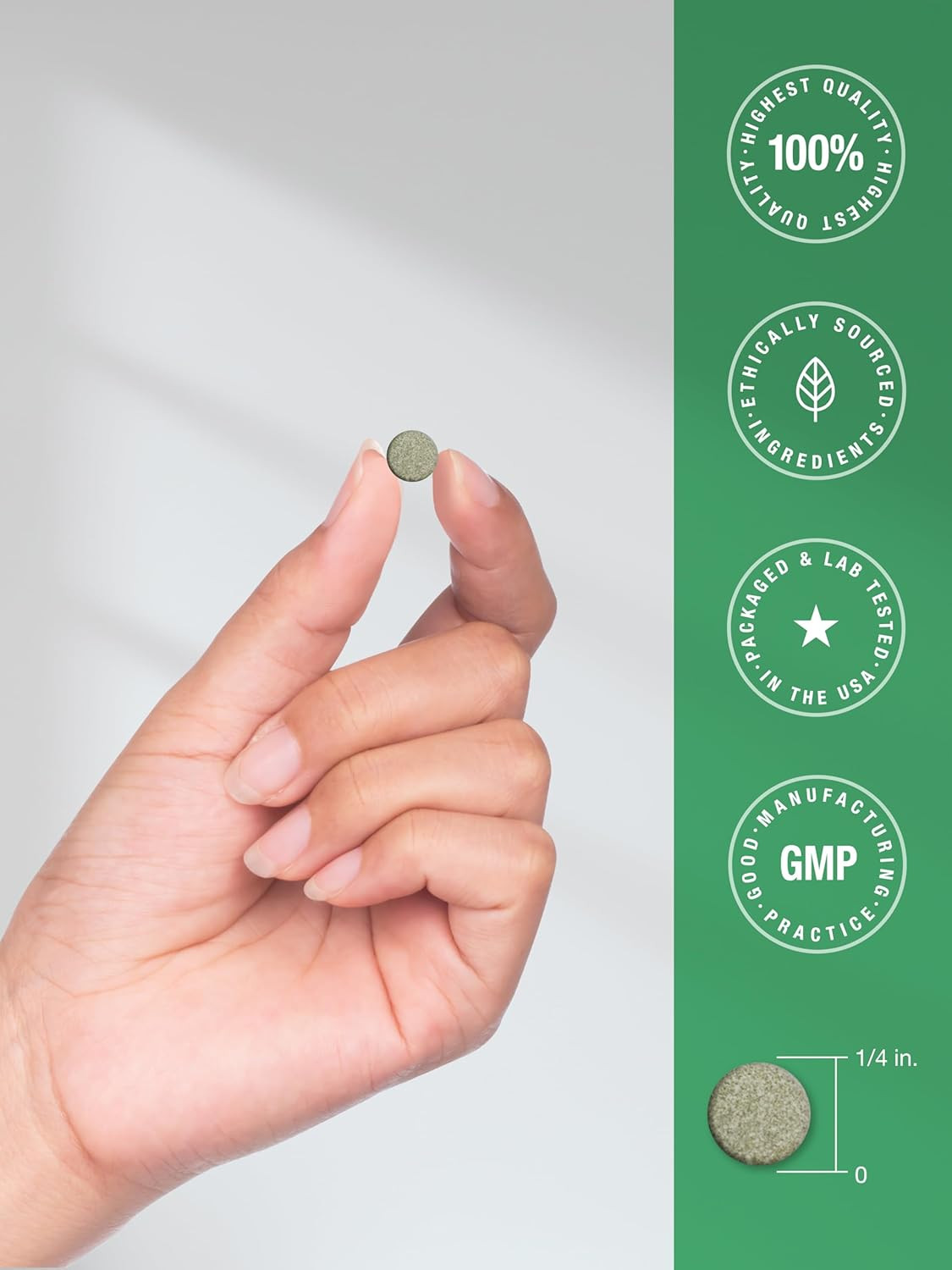 Chlorophyll Chewable Tablets 300ct | Peppermint Vegan | Non-GMO Gluten Free