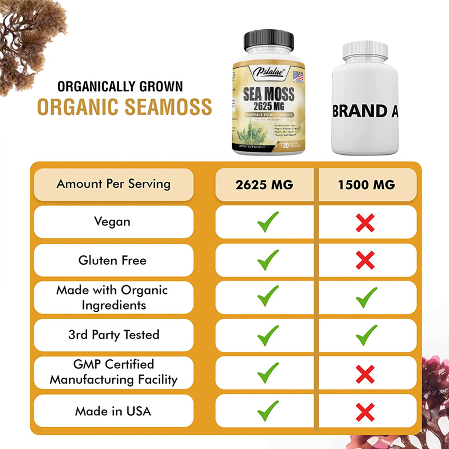 Sea Moss Capsules 2625mg – Irish Moss & Burdock Root – Thyroid & Immune Support