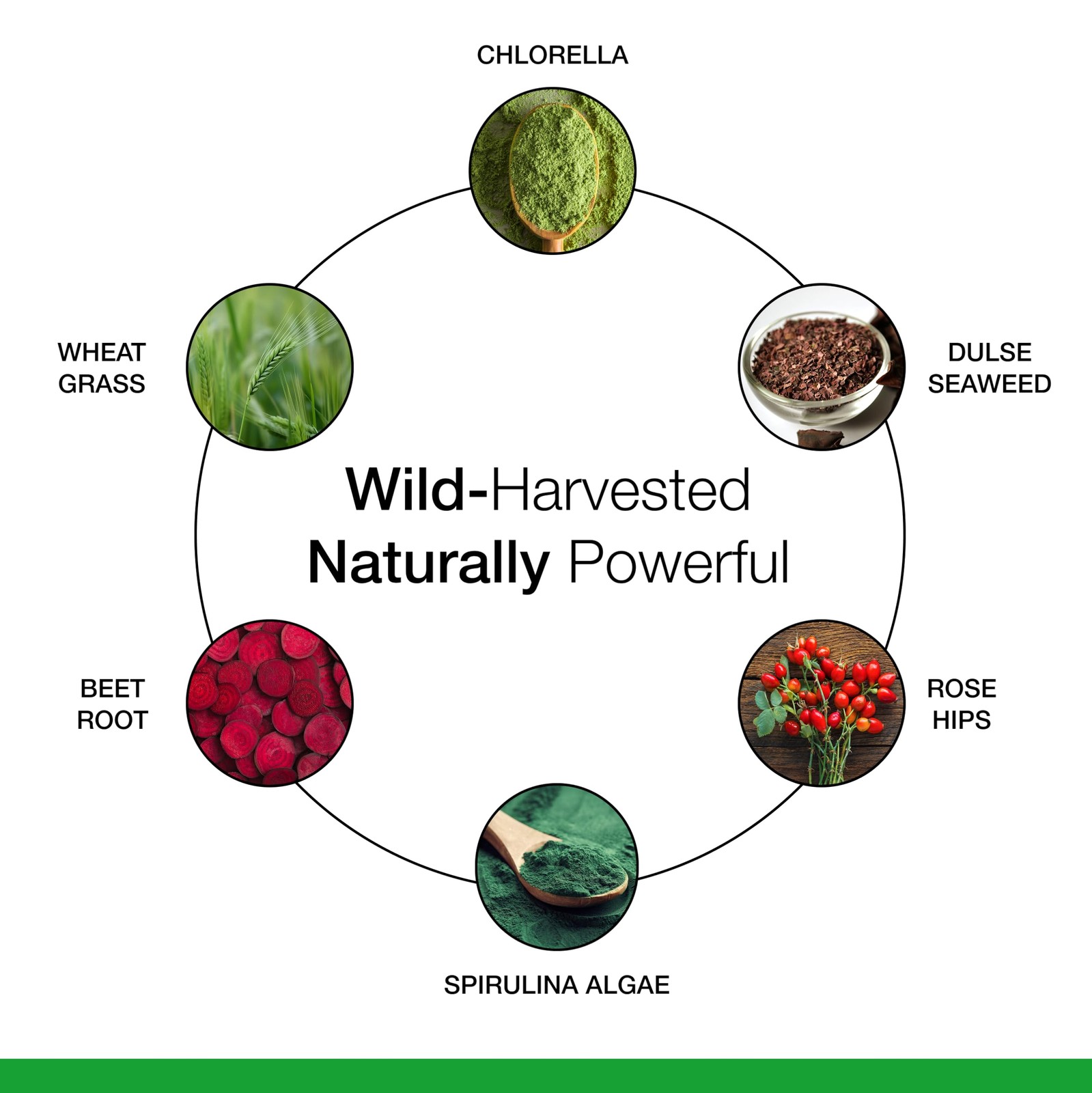 Dr. Schulzes SuperFood Plus – Everyday Superfood Supplement to Support Overall