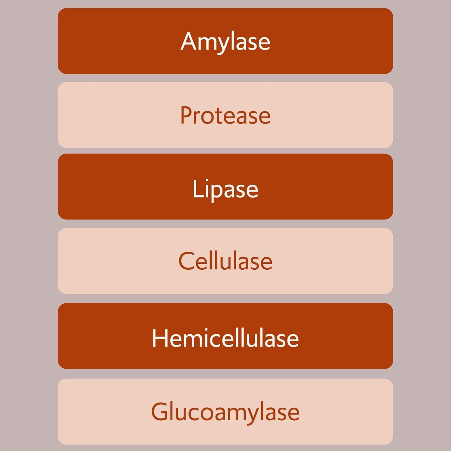 Bacillus B3 Probiotics – Bacillus Subtilis, Coagulans Clausii Enzymes prebiotic