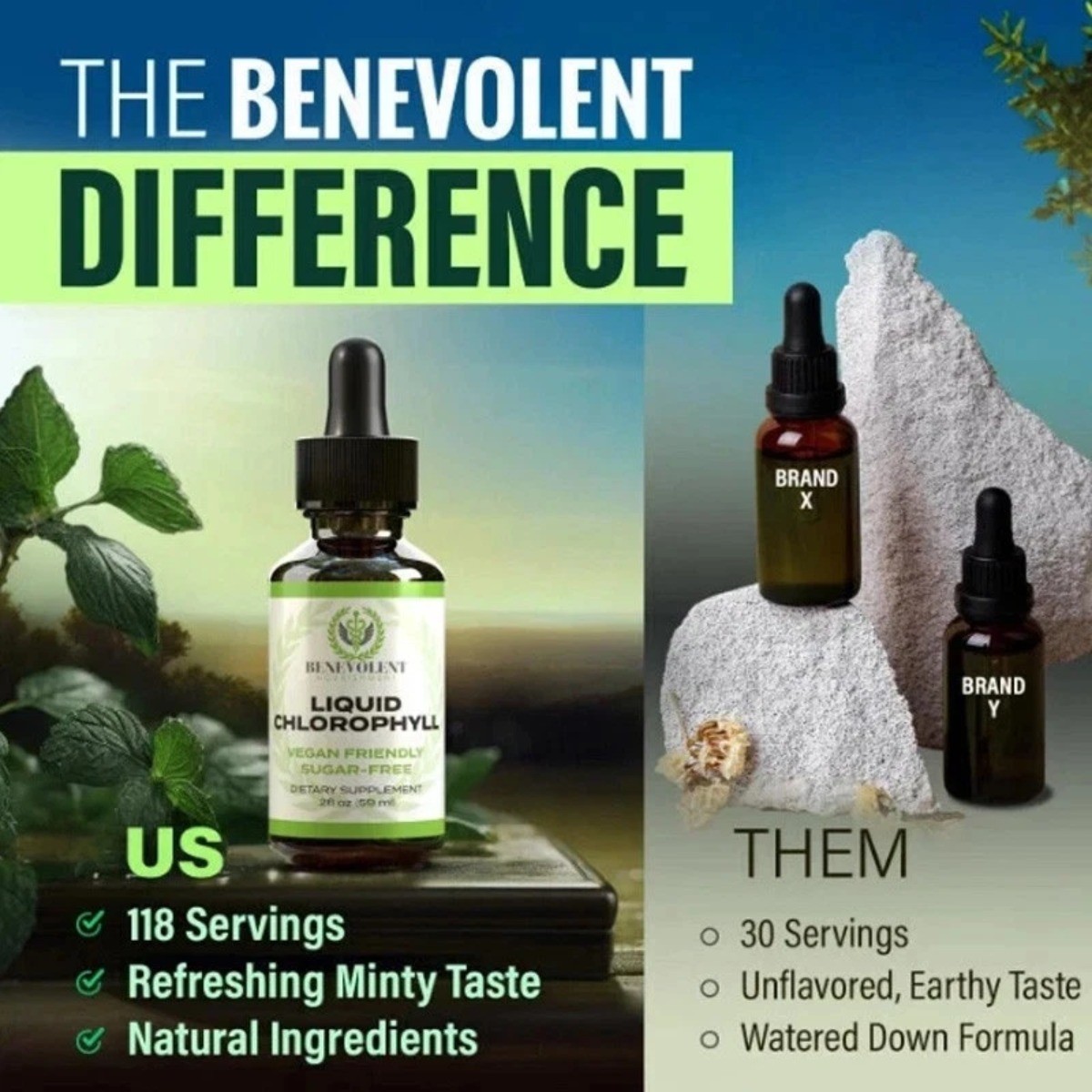 Liquid Chlorophyll Drops – Internal Deodorant, Detox Support, Gut & Liver Health