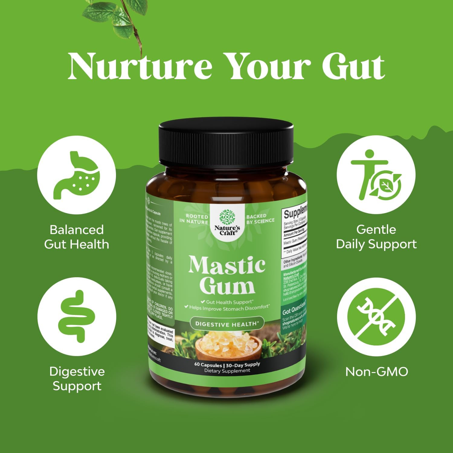 Mastic Gum Capsules – Herbal Digestion Supplement Providing Upset Stomach Relief