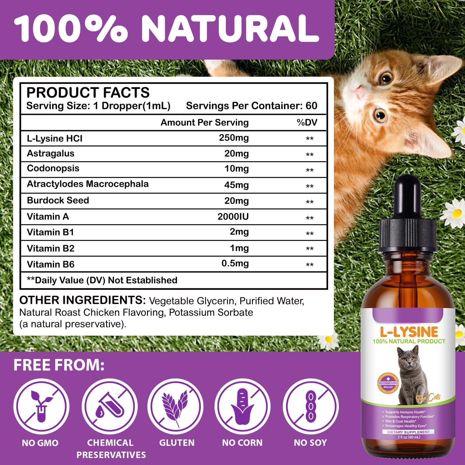 Cat L-Lysine Liquid 2oz Immune Respiratory Skin Coat Eyes | Lisina Gatos
