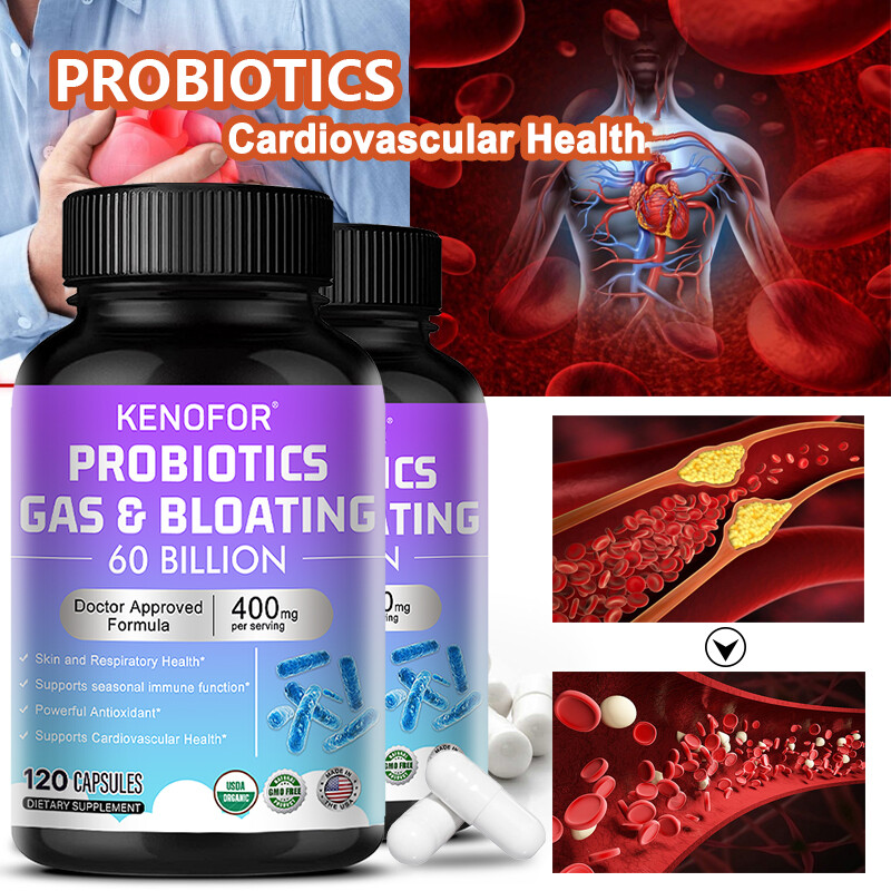 60 Billion CFU Probiotics – Daily Digestive Gut Health Supplement for Men Women