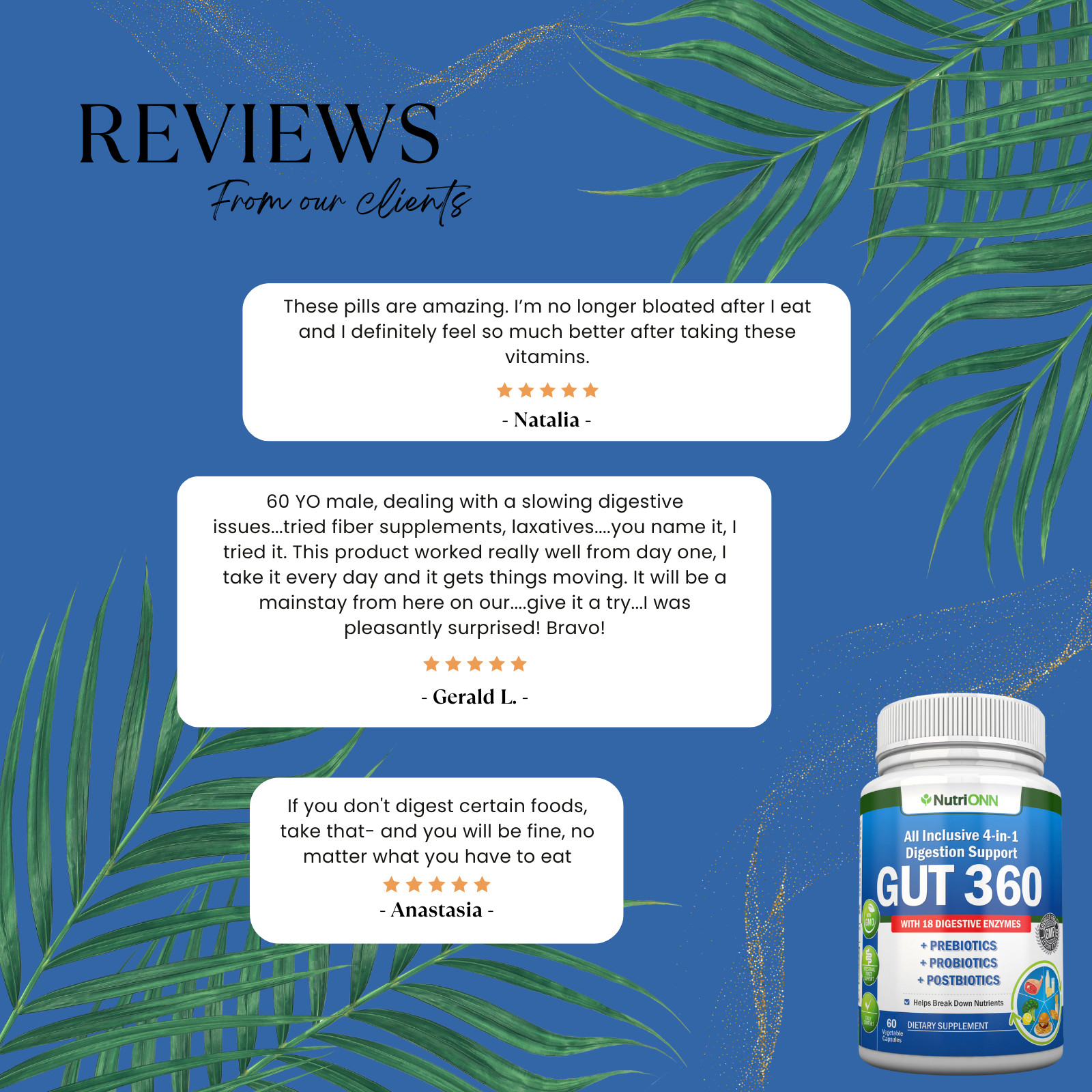 GUT 360 – Probiotics, Prebiotics & Postbiotics with Digestive Enzymes