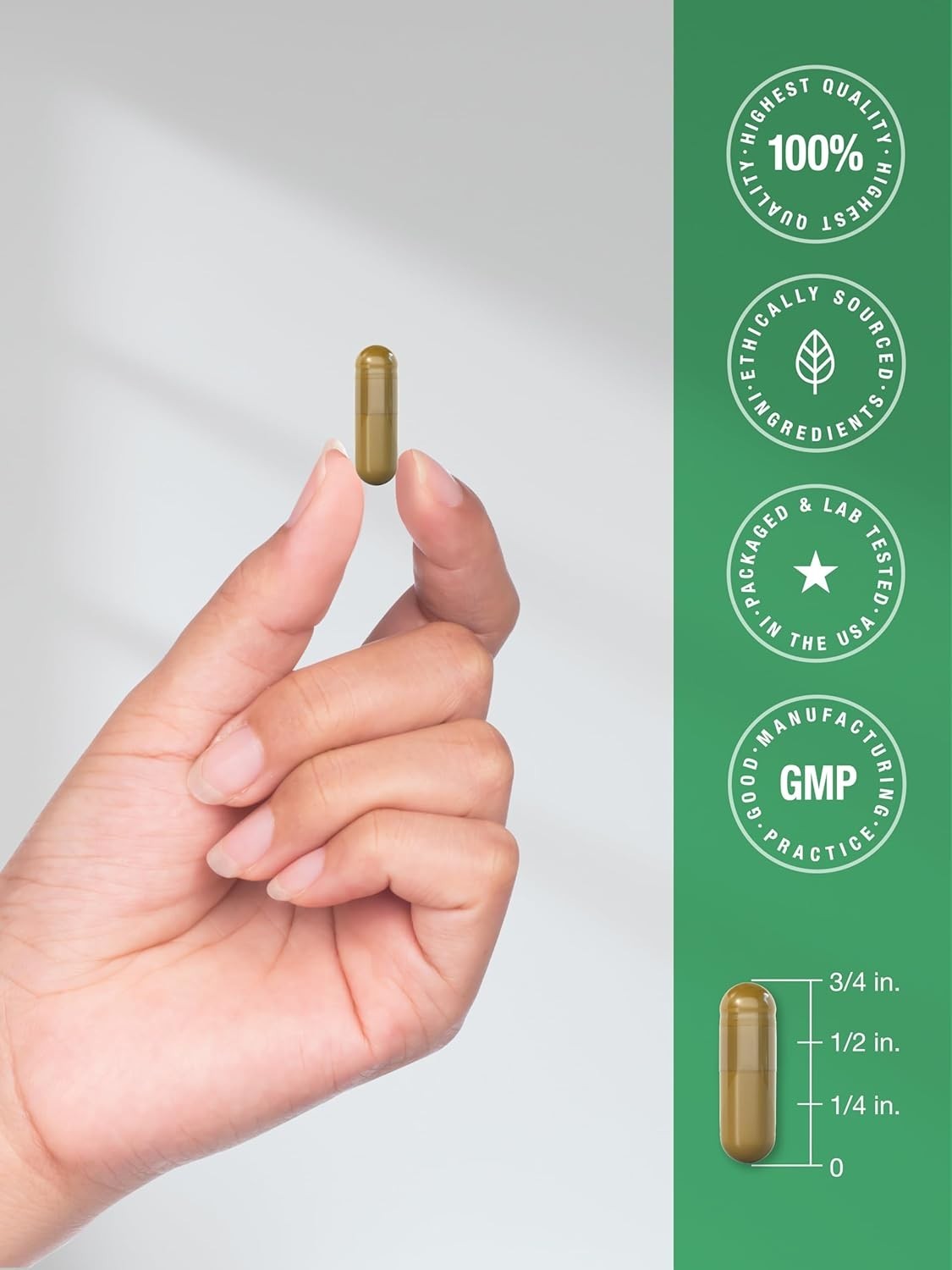 Dandelion Root Capsules 1800mg | 120 Count | Non-GMO, Gluten Free | by Horbaach