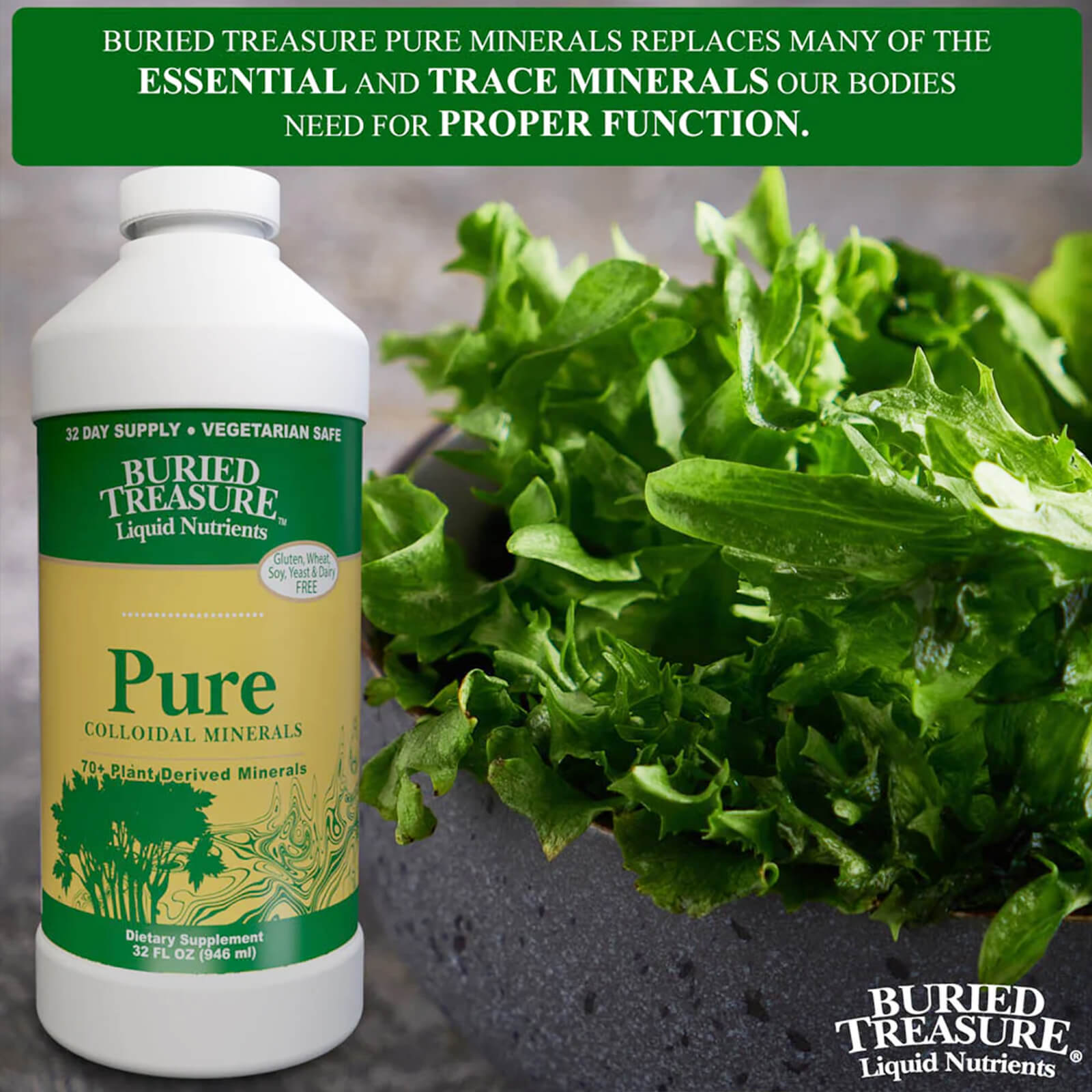 Buried Treasure Pure Colloidal Minerals 32 fl oz