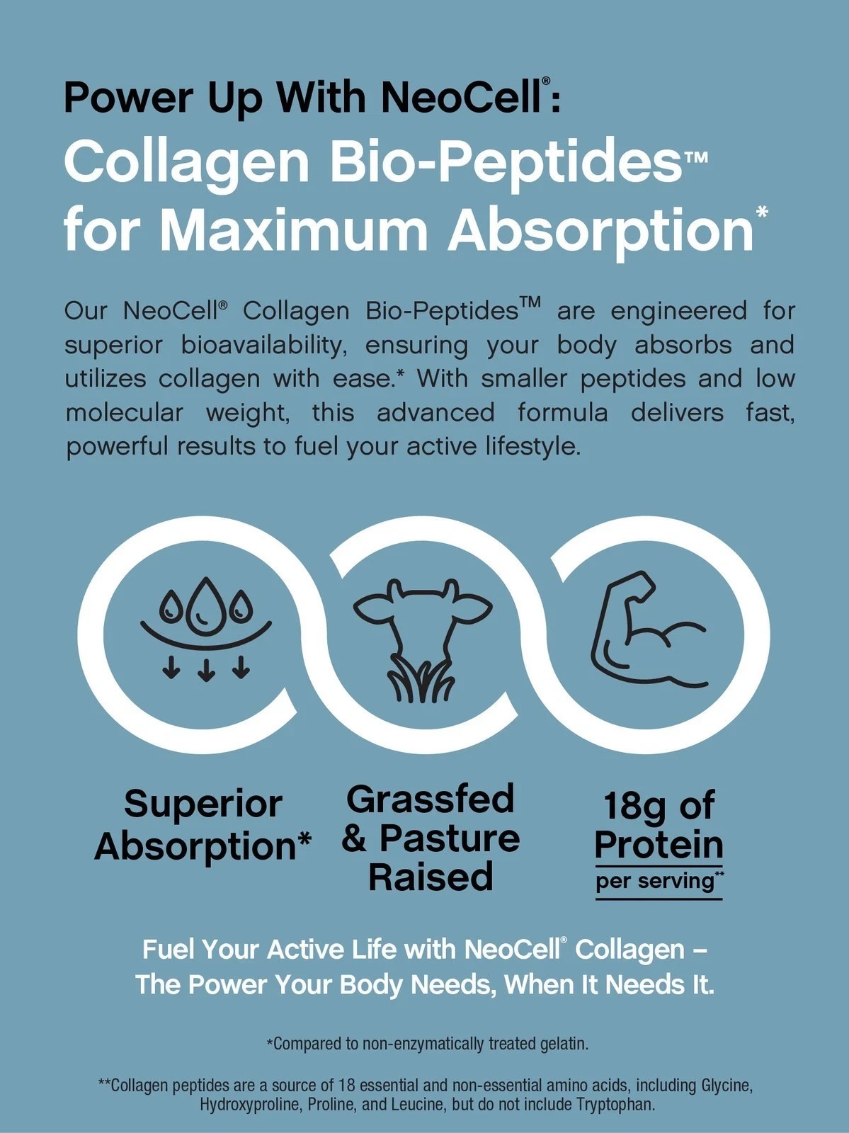 2 BOTTLES–NEW NeoCell Collagen Bio-Peptides Protein Supplement Grass Fed,-20Oz