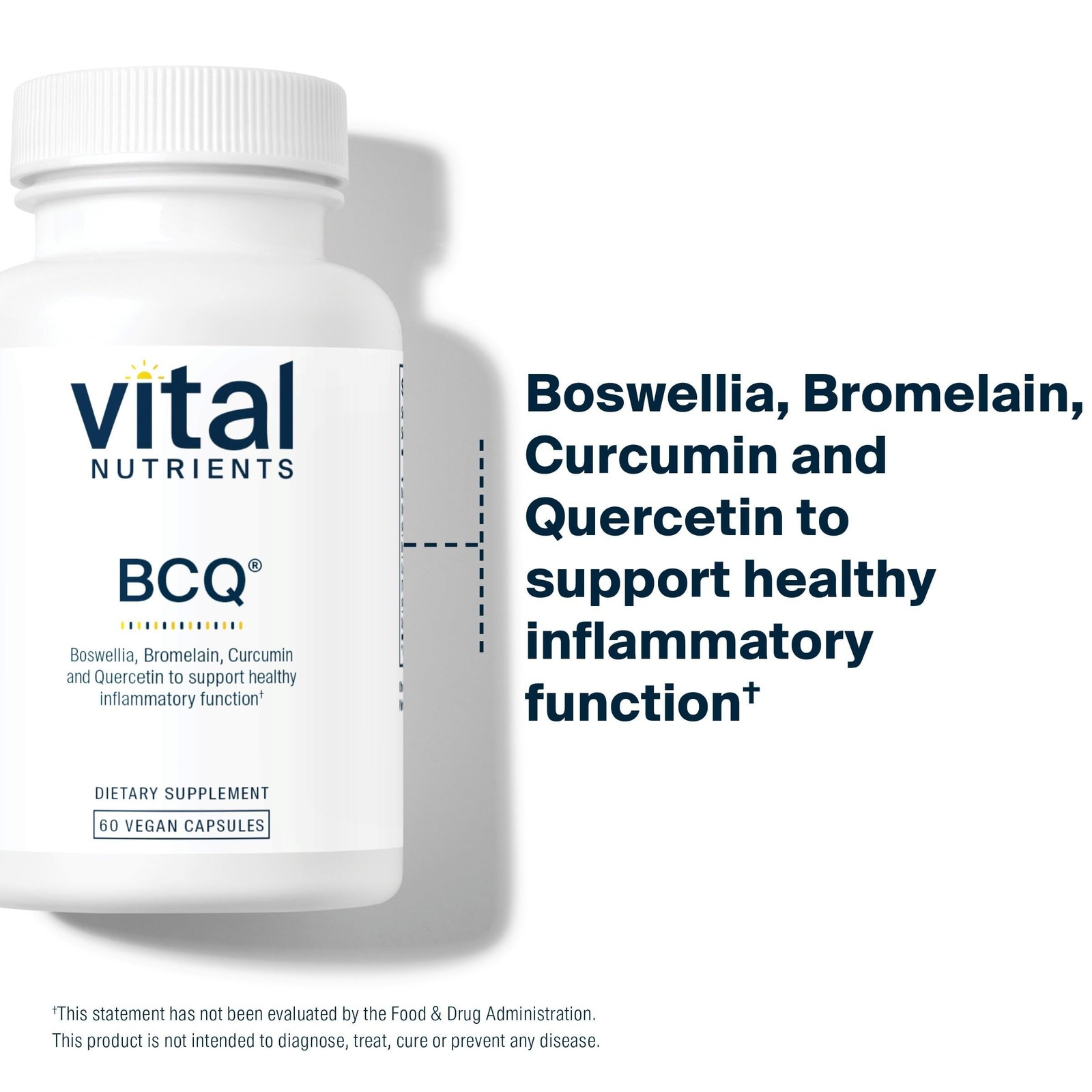Vital Nutrients – BCQ (Bromelain, Curcumin and Quercetin) – Herbal Support fo…