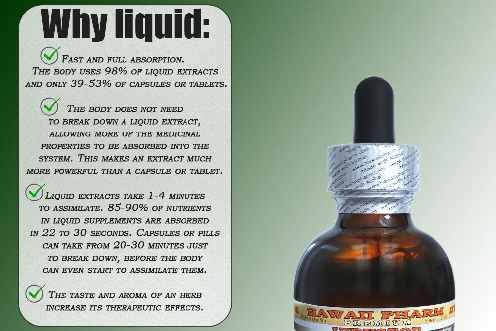 Alcohol-Free Milk Thistle Liquid Extract – Professional Grade Glycerite, 4 oz