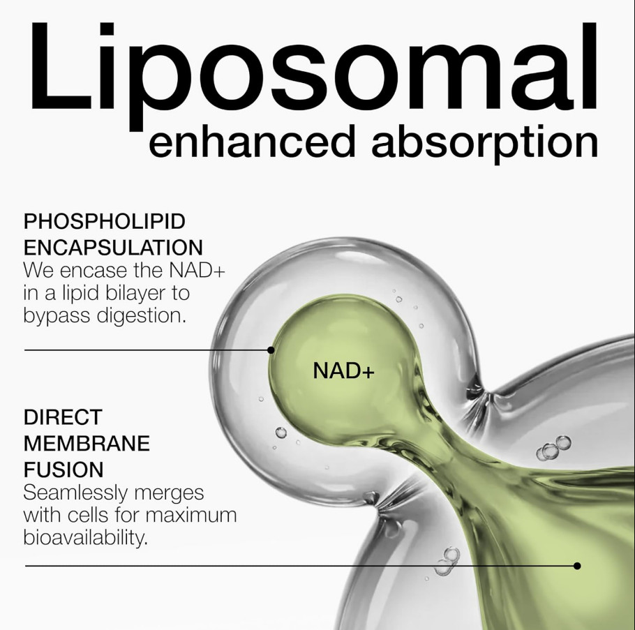 Liposomal NAD+ Resveratrol 1500mg RiaGev-WS Niacin 60 Capsules Clinically Proven