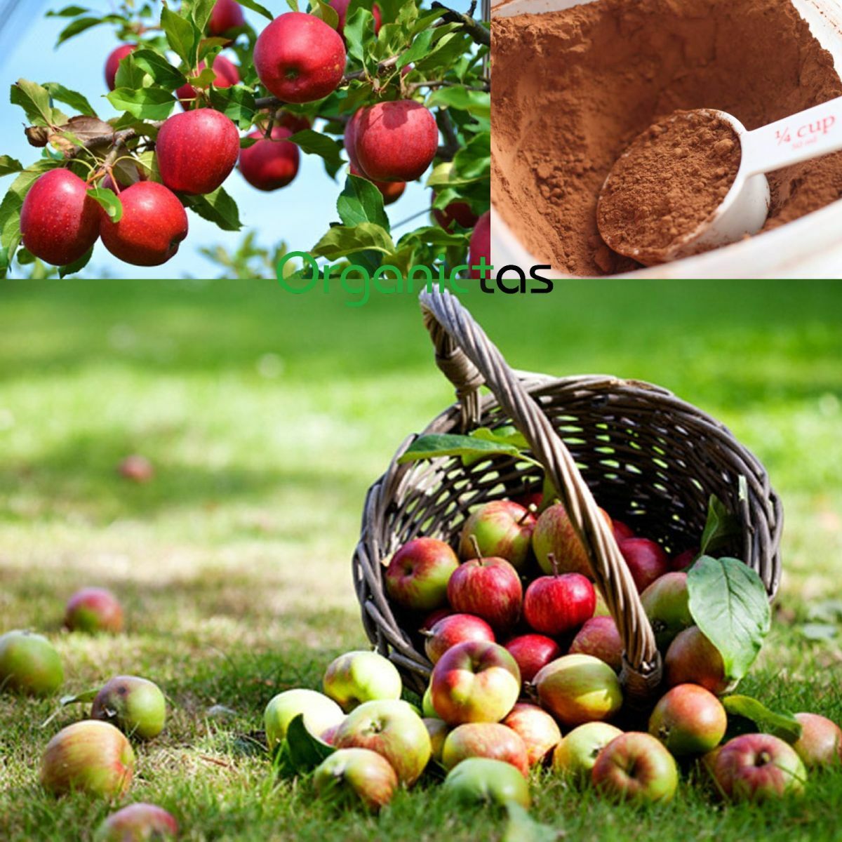 Pure Organic Apple Powder, 100% Natural Vitamin, Mineral & Antioxidant Source