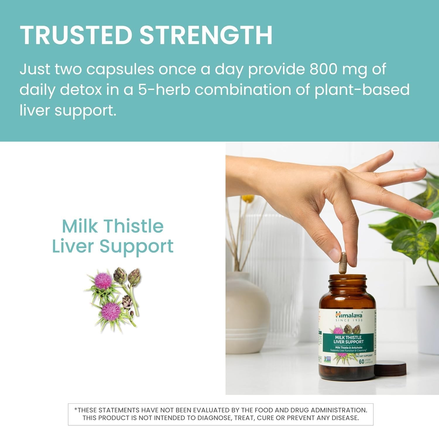 2 X Milk Thistle Liver Support & Cleansing with Artichoke Chicory Exp 12/2027