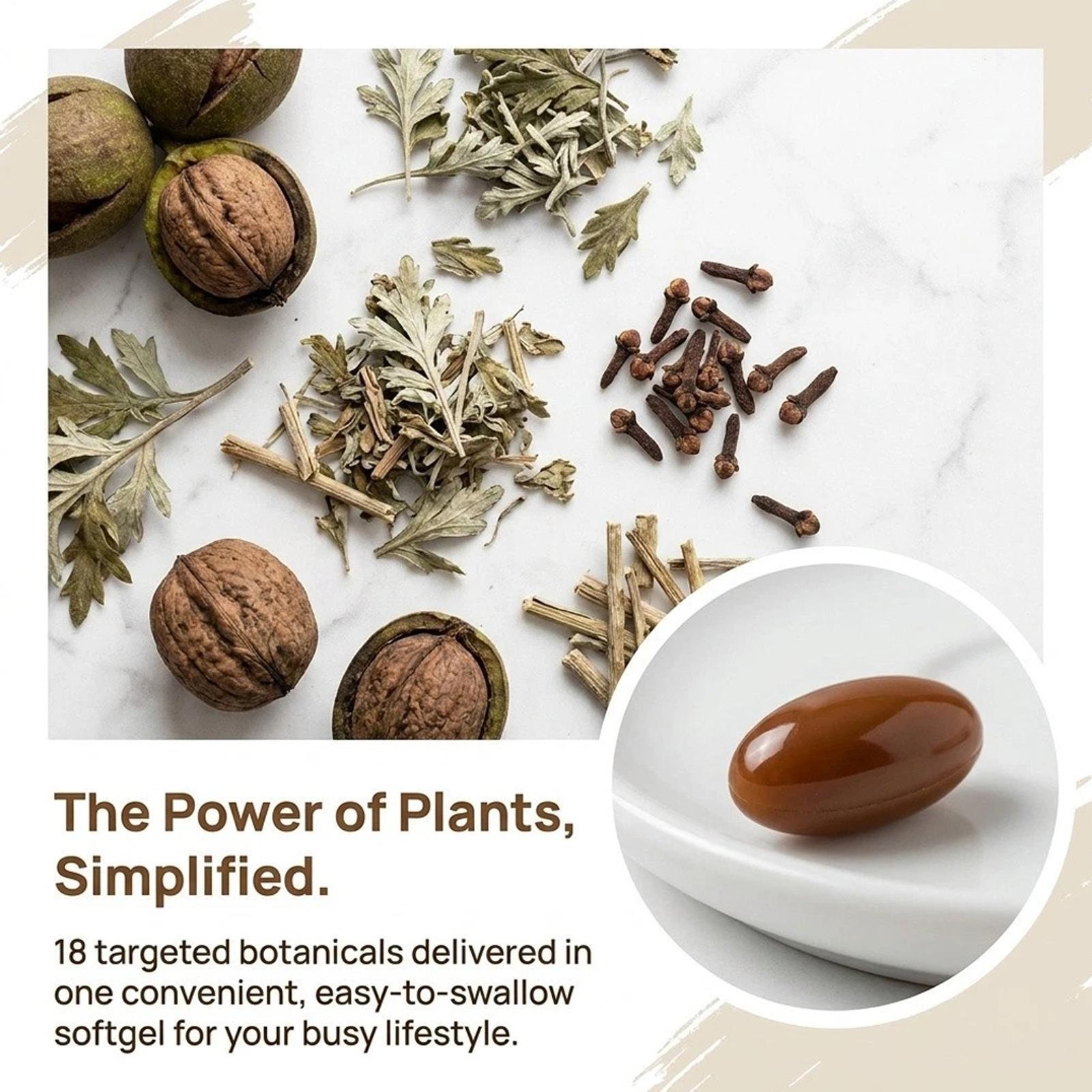 Holior Wormwood Black Walnut Clove Herbal Supplement 240 Softgels
