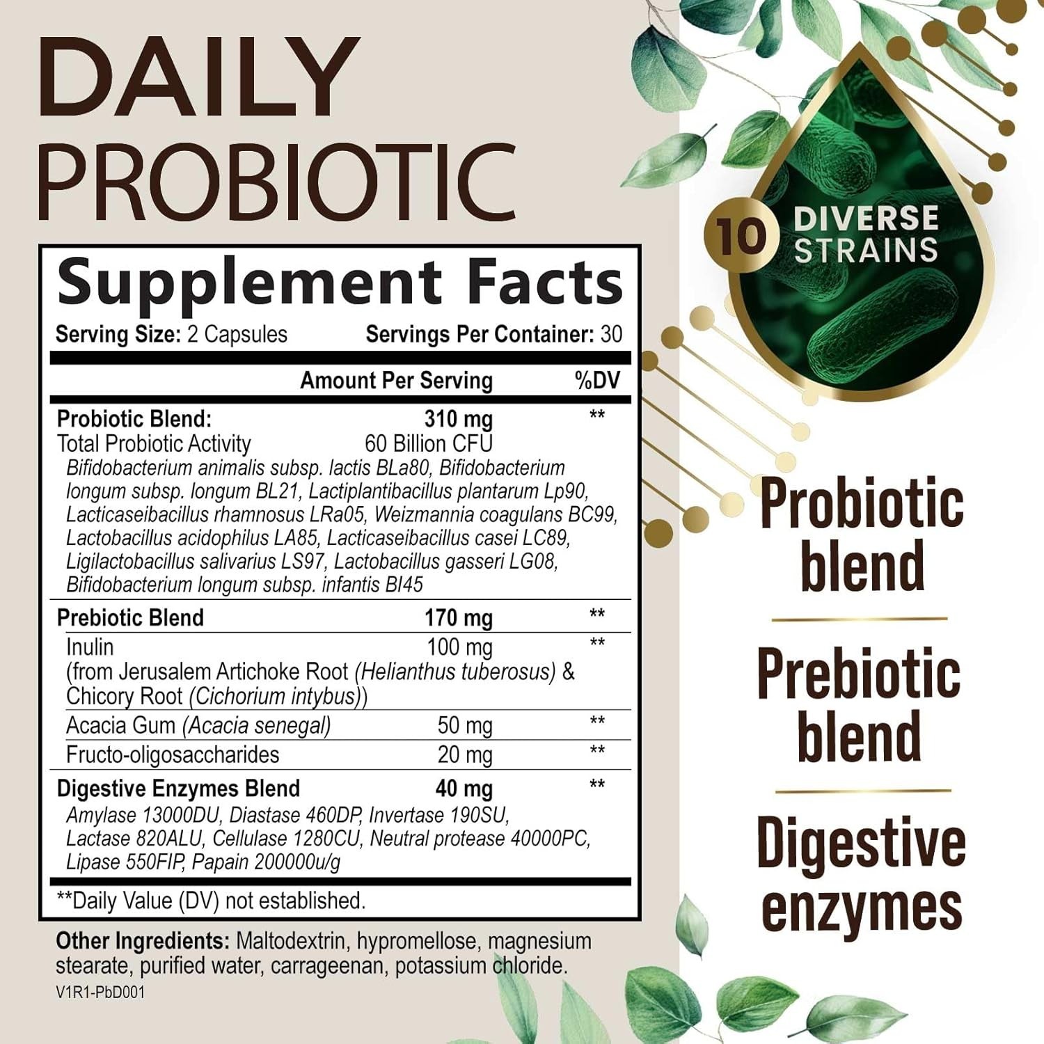 Probiotics 60 Billion CFU + 10 Strains – Daily Probiotic Lactobacillus Blend Gut