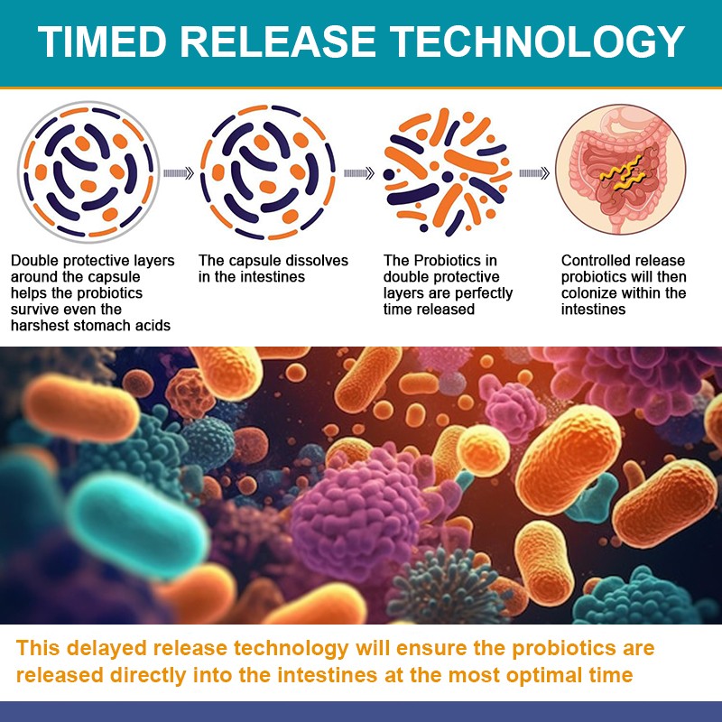 Probiotics 120 Billion CFU Enzyme and Prebiotic for Digestive & Gut Health
