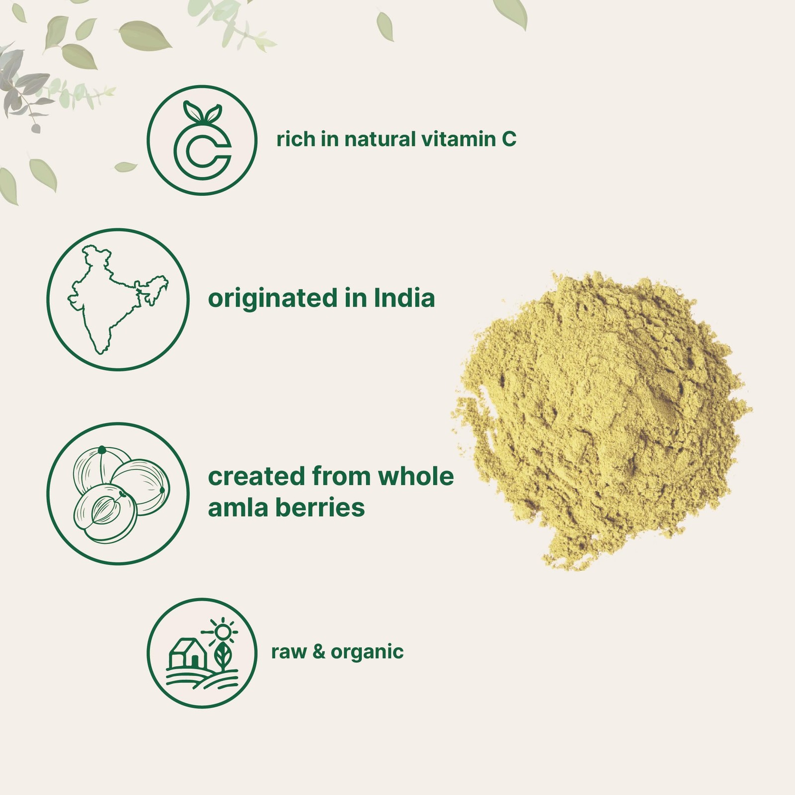 Micro Ingredients Organic Amla Powder (Amalaki) | 32oz, India Origin Gooseber…