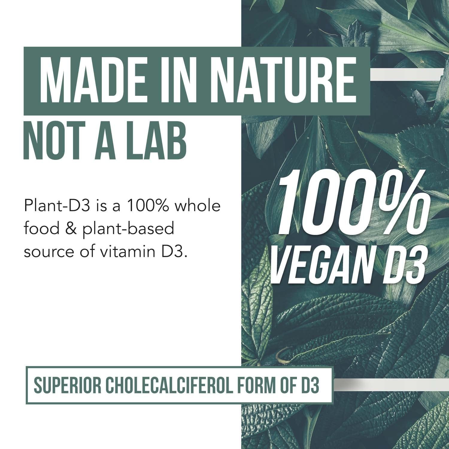 Organic Vitamin D3 5000 IU – Vegan, Whole Food, Prebiotic & Superfood Complex, 6