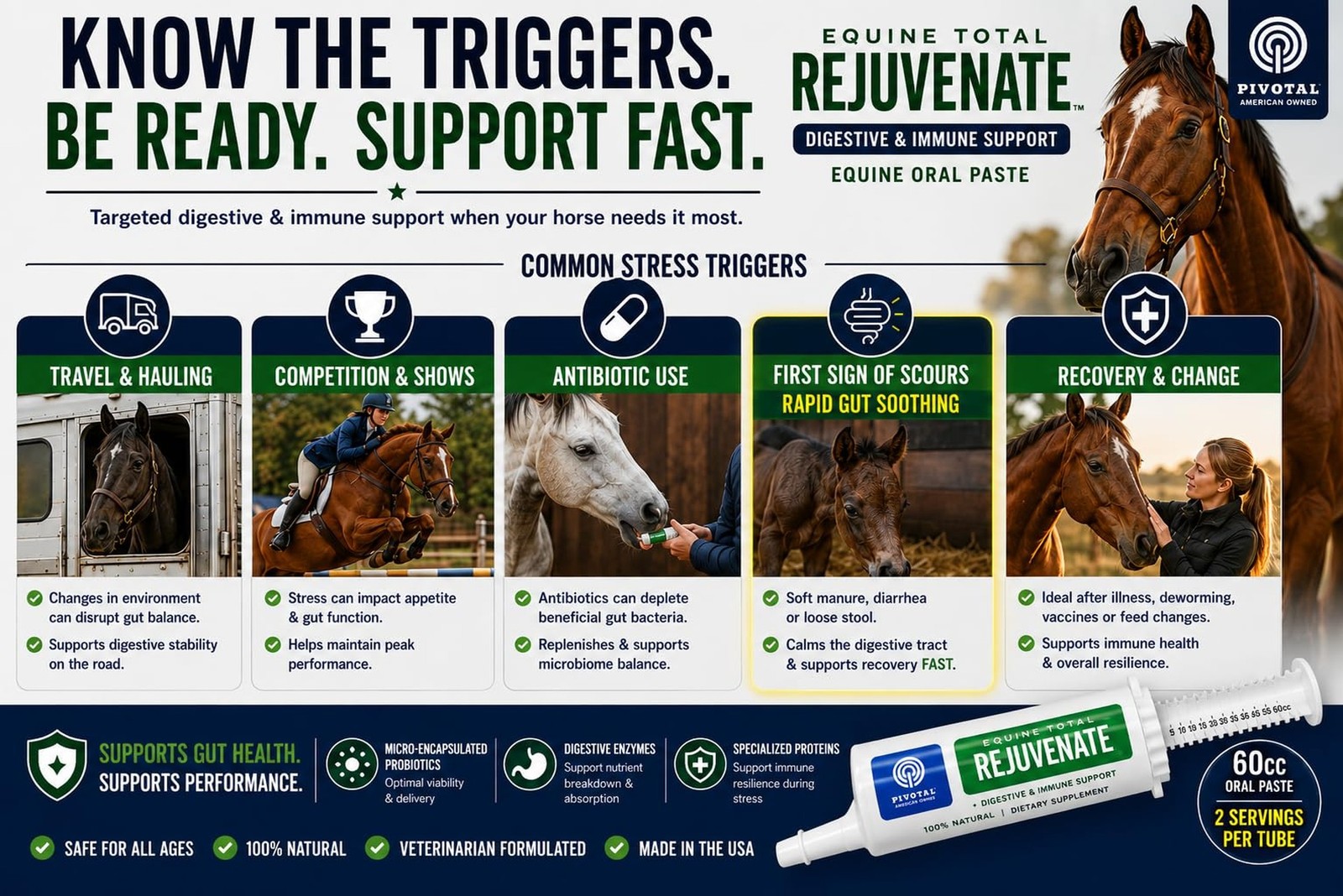 Equine Total Rejuvenate Horse Gut Health Supplement – Probiotics & Digesti