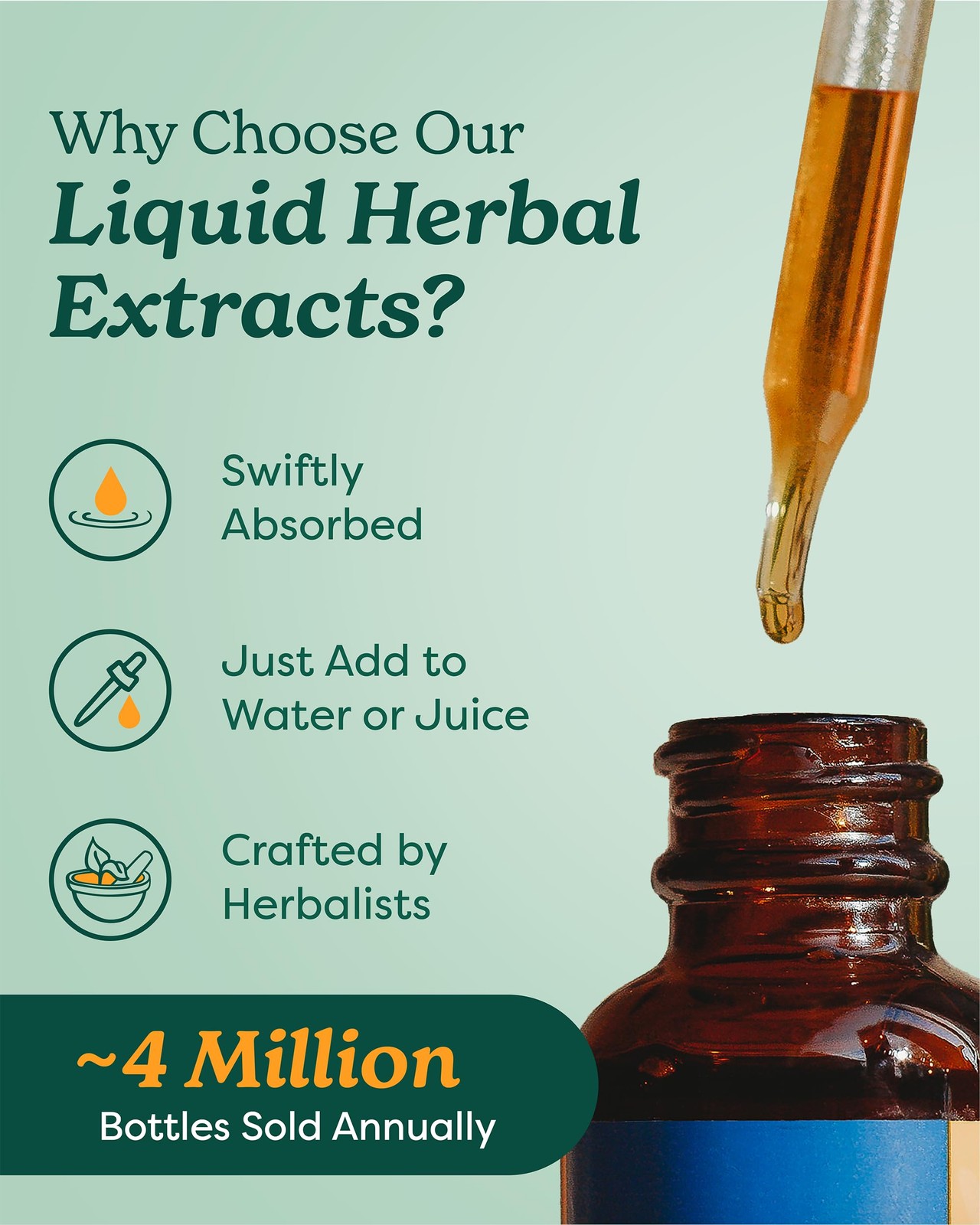 Herb Pharm Reishi Mushroom Liquid Extract Drops Immune System Builder 4 Oz