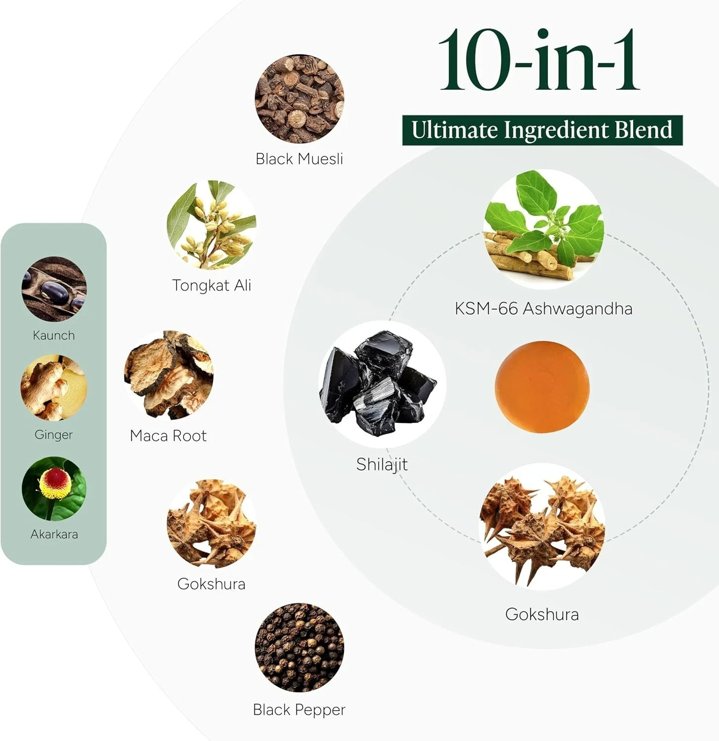 10-in-1 Complex Shilajit Gummies, Multi Botanical Blend for Overall Health Care
