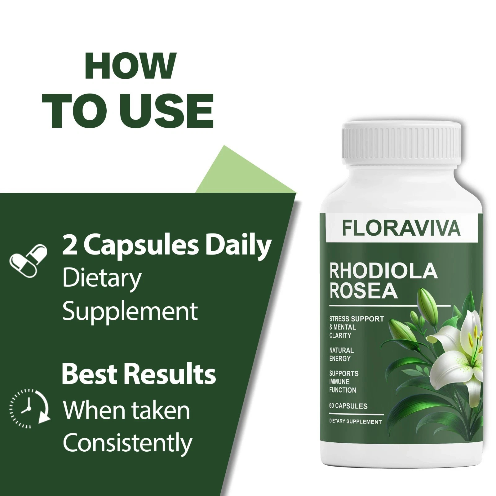 1-Pack Rhodiola Rosea Capsules – Floraviva for Energy, Focus, Mood
