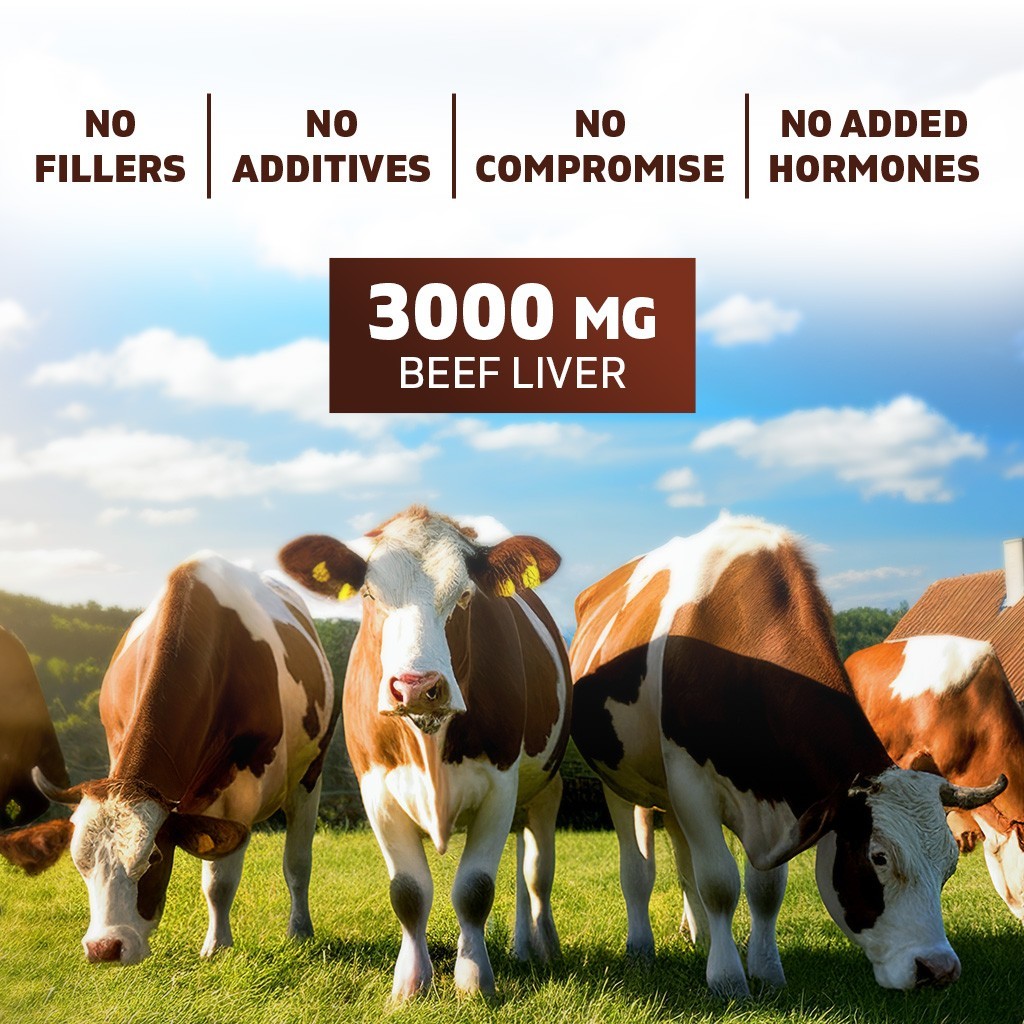 Vitamatic Grass-Fed Beef Bone & Marrow – Freeze-Dried, Non-GMO- 180 Caps