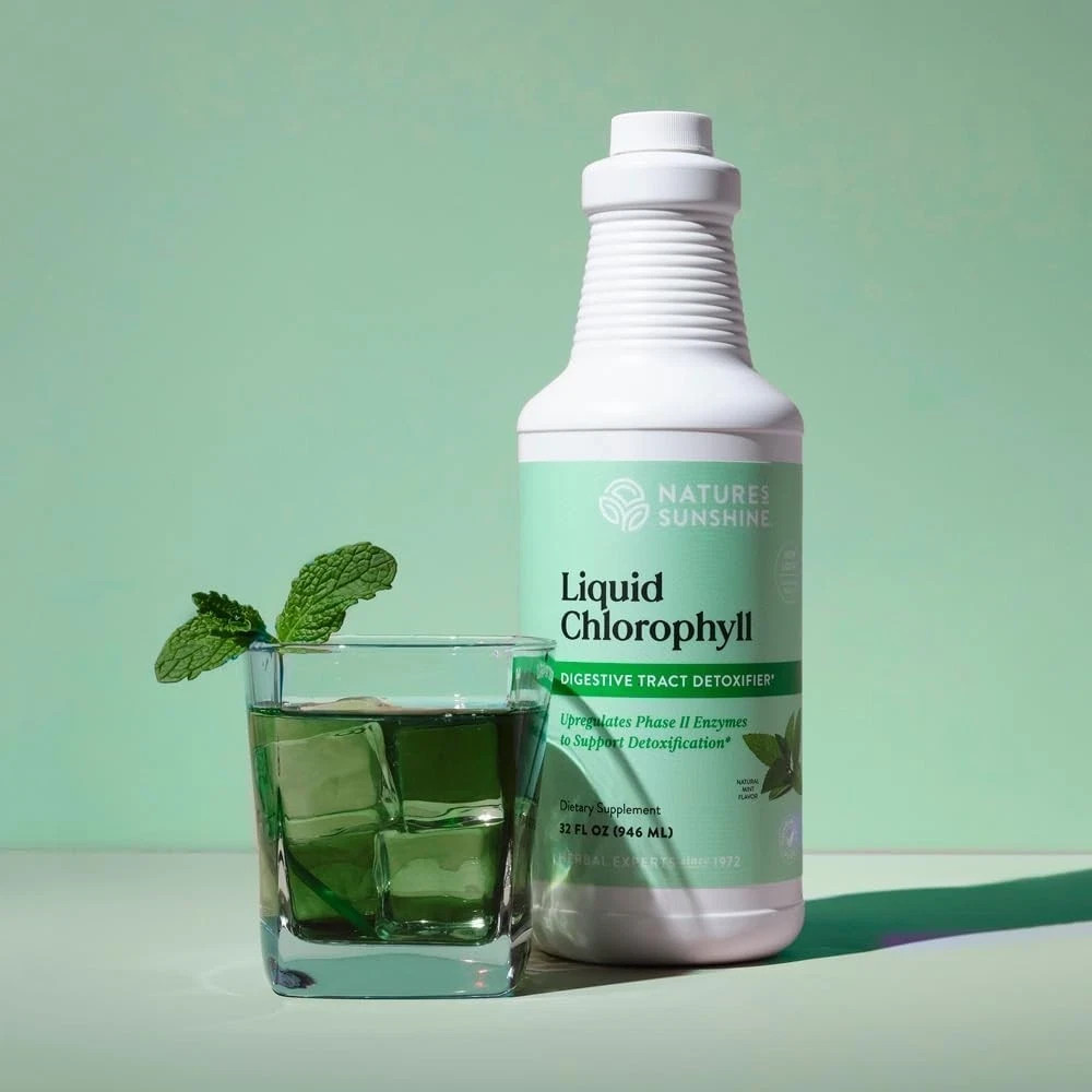 Nature’s Sunshine Liquid Chlorophyll 16 oz Digestive Detox Free Shipping