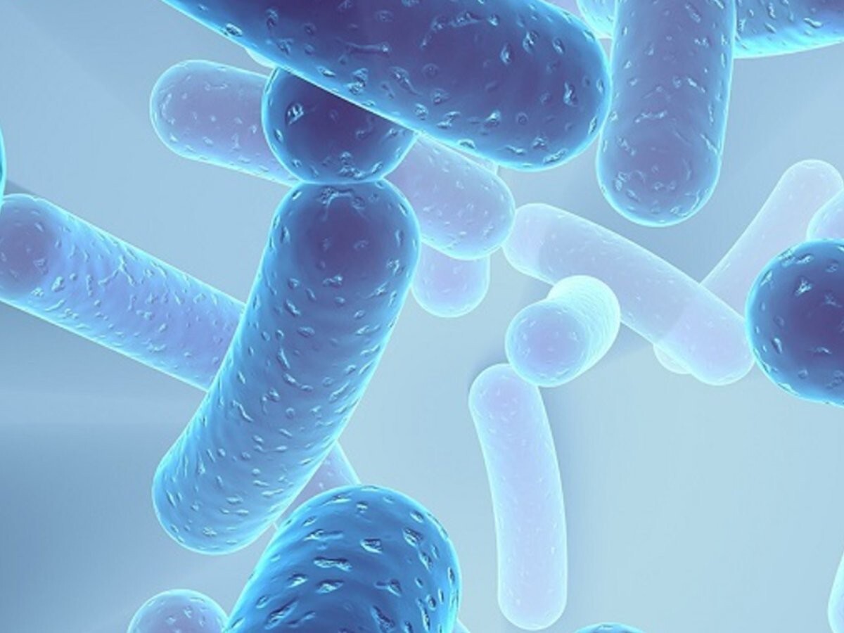Optimize Digestive Health with CANDIDA AWAY COMPLEX – 1B 60 caps