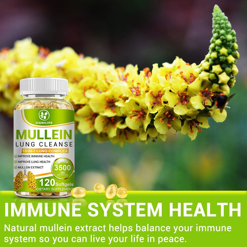 Mullein Leaf Capsules – Lung Cleanse & Cough Relief, Respiratory Health, Detox