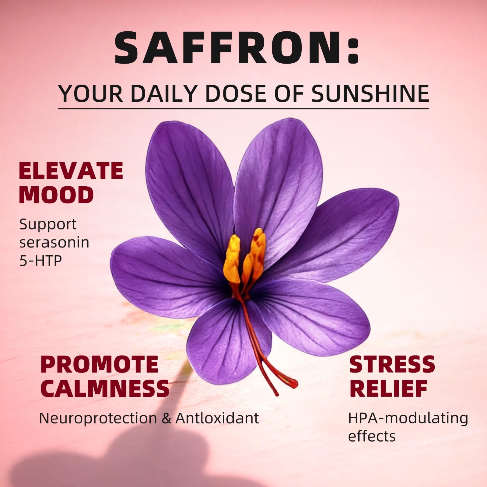 Saffron Extract Drops 24-in-1 with Ashwagandha & Lion’s Mane – Mood, Focus, Stre