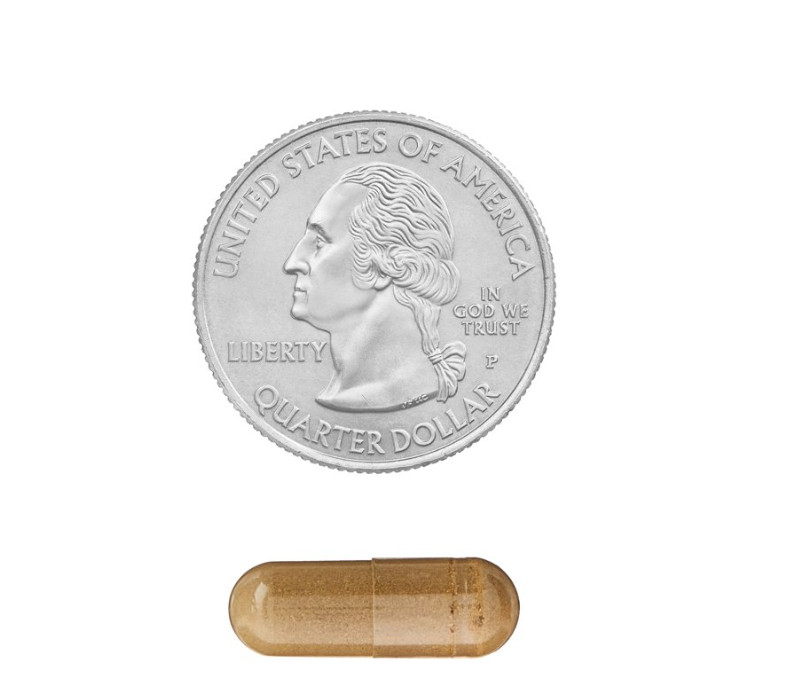 Spring Valley Ginkgo Biloba Extract Capsules (120 Mg), 90 Count, 3 PACK