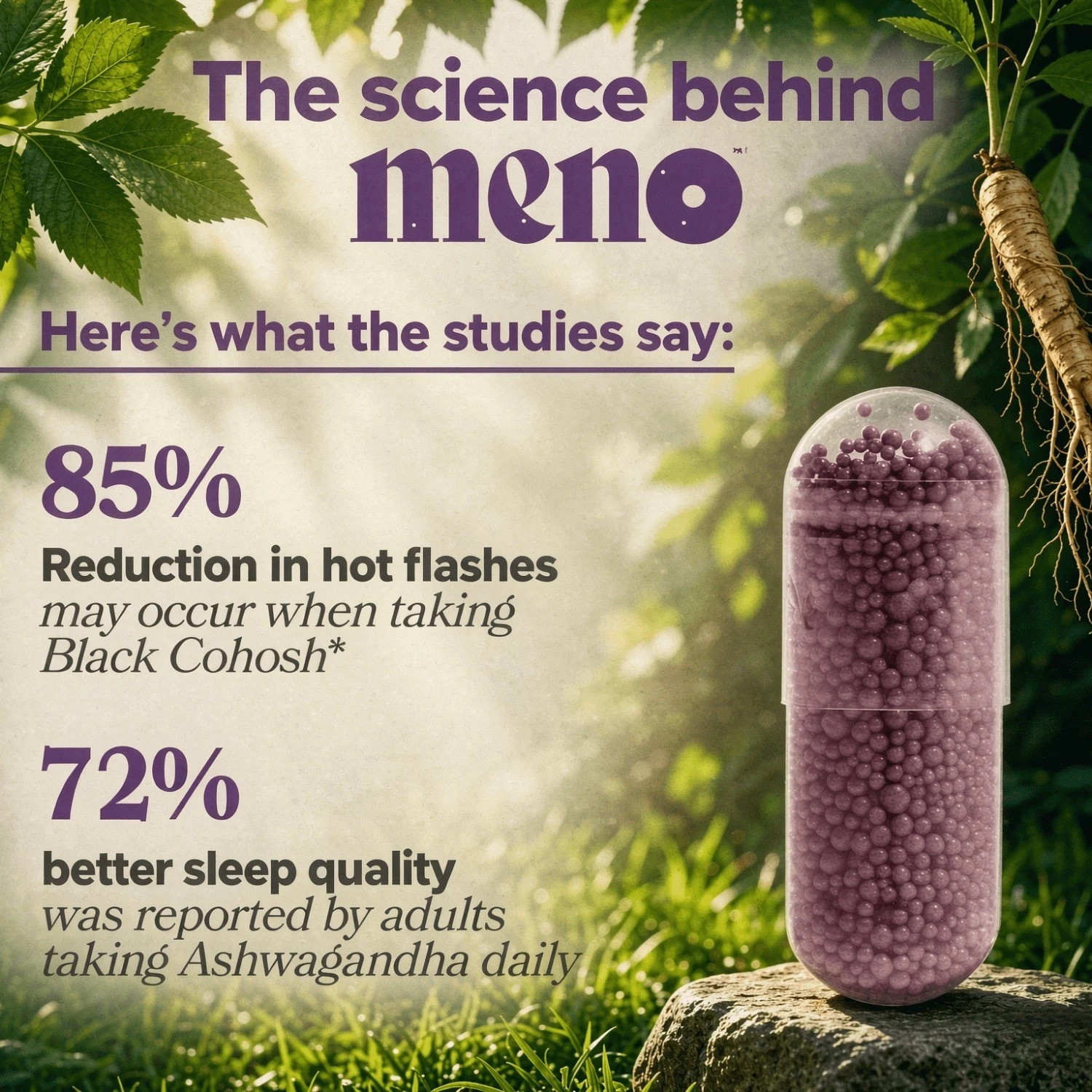 MENO Menopause Vitamins, Hormone Free Support for Hot Flashes & Mood, 60 Caps
