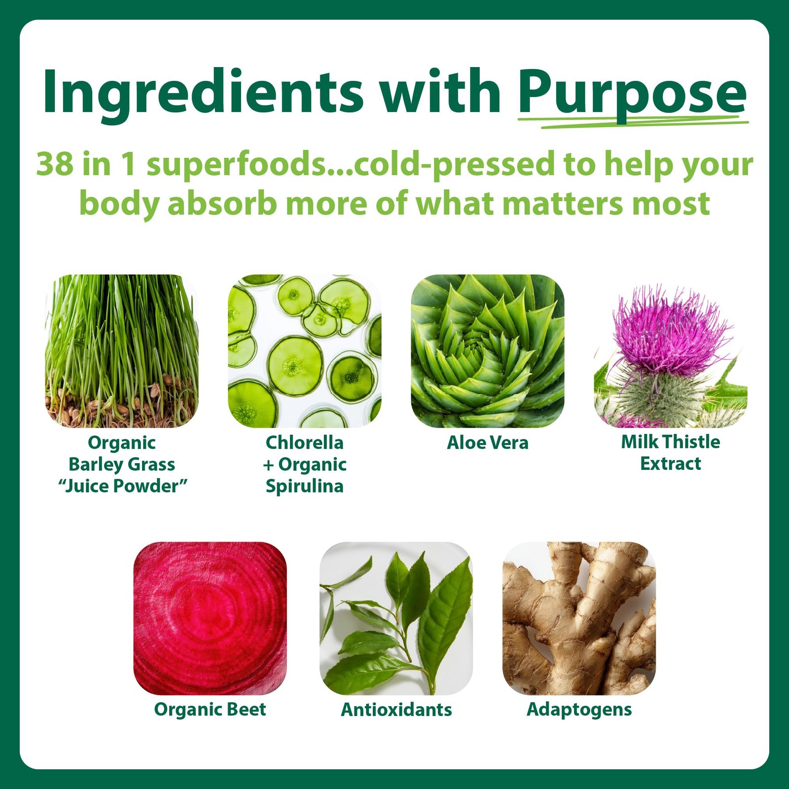 MacroLife Naturals Macro Greens Superfood Powder – 38 Superfoods with Probiot…