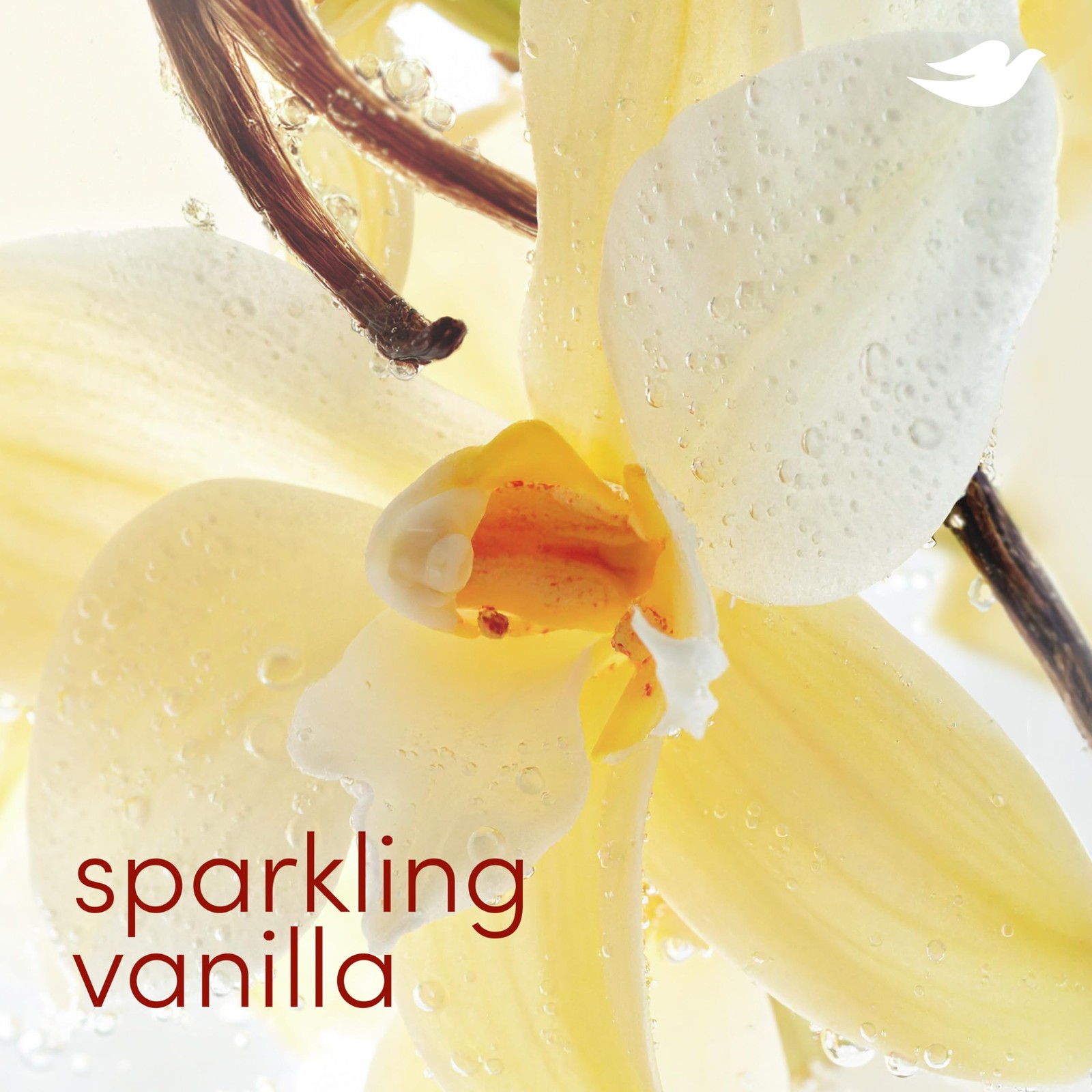 Dove Deodorant Stick Sparkling Vanilla for 72 2.4 Ounce (Pack of 1), Orange