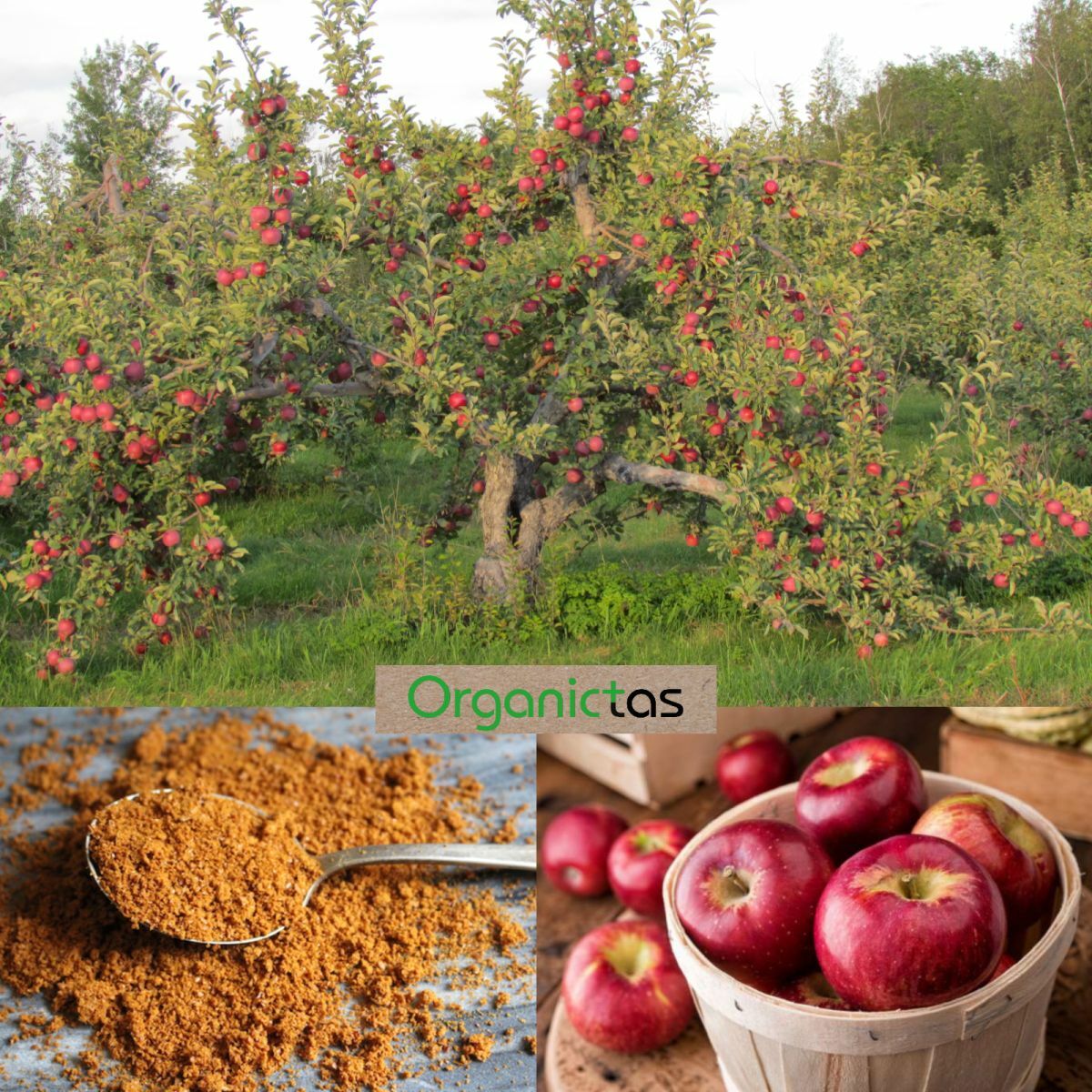 Pure Organic Apple Powder, 100% Natural Vitamin, Mineral & Antioxidant Source