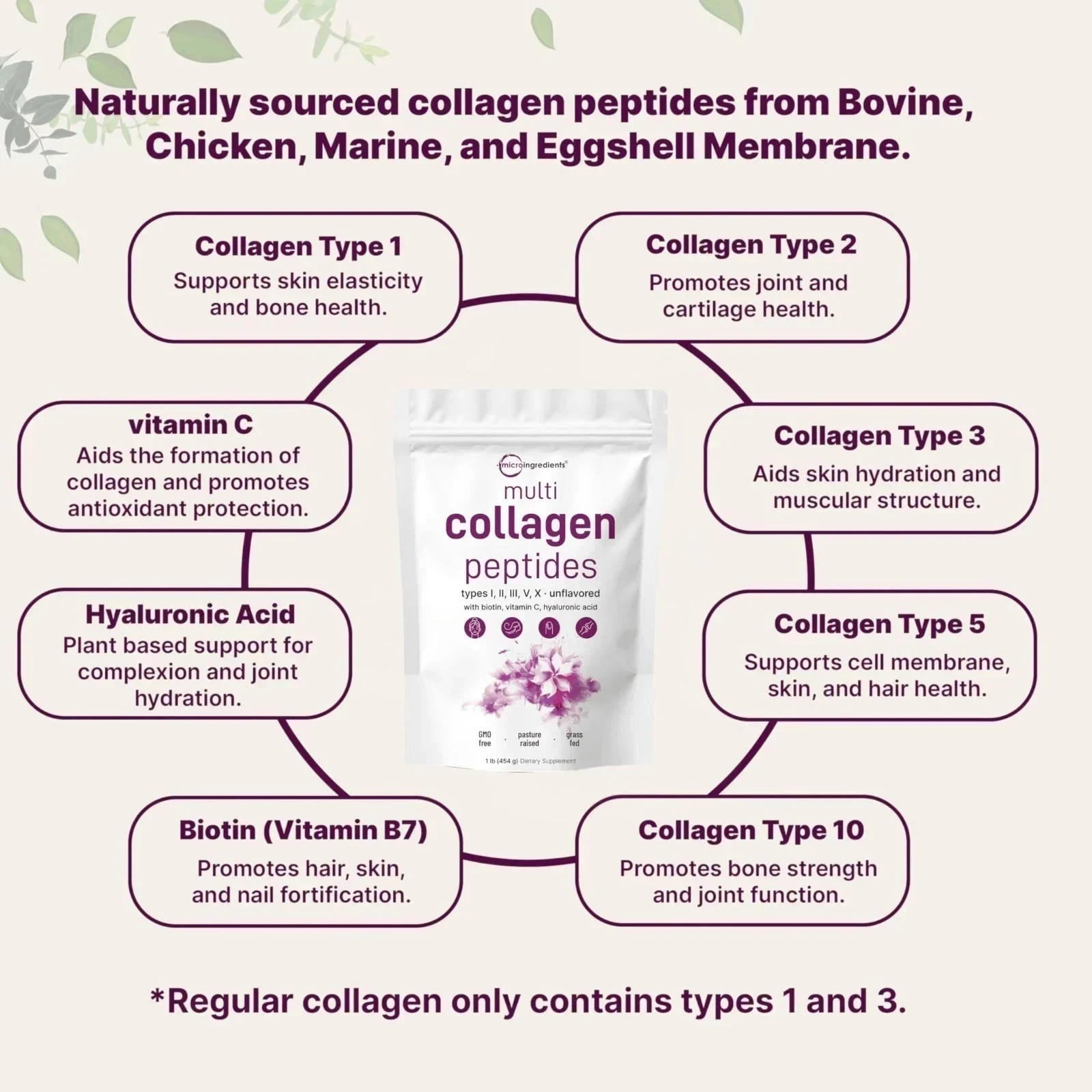 Micro Ingredients Multi Collagen Peptides Powder – Types I,II,III,V,X, 1lb