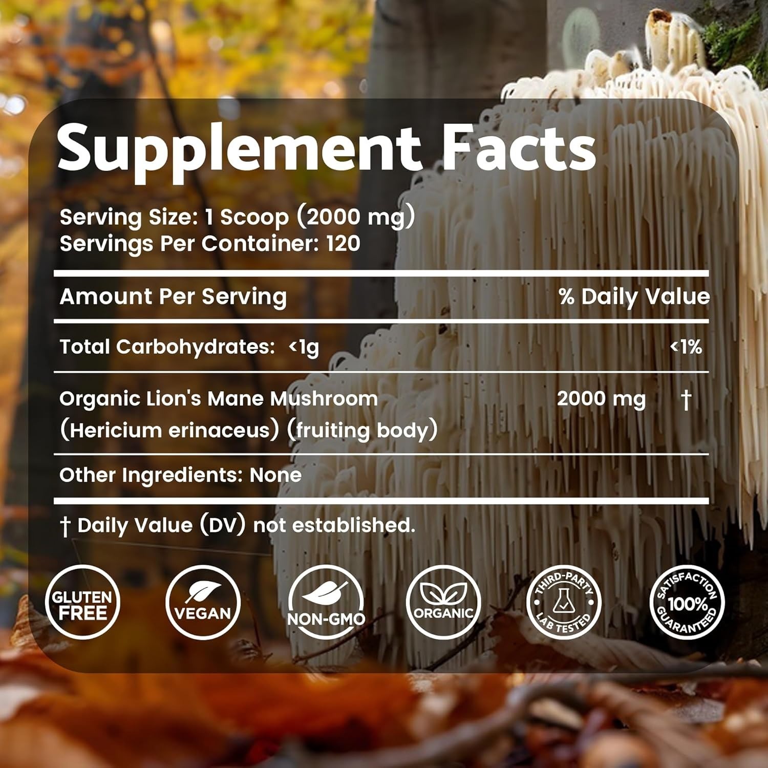 Lions Mane Powder 2000mg | Brain & Immune Support | 120 Servings Vegan, Non-GMO