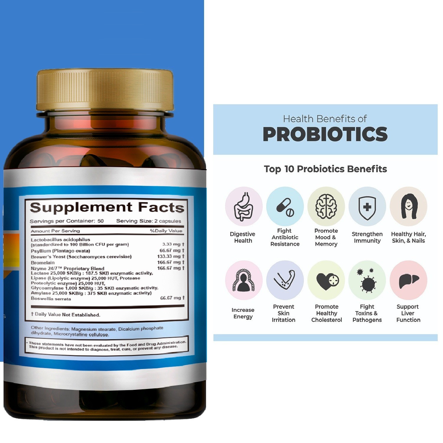 Probiotics for Digestive Health daily health colon probioticos naturales