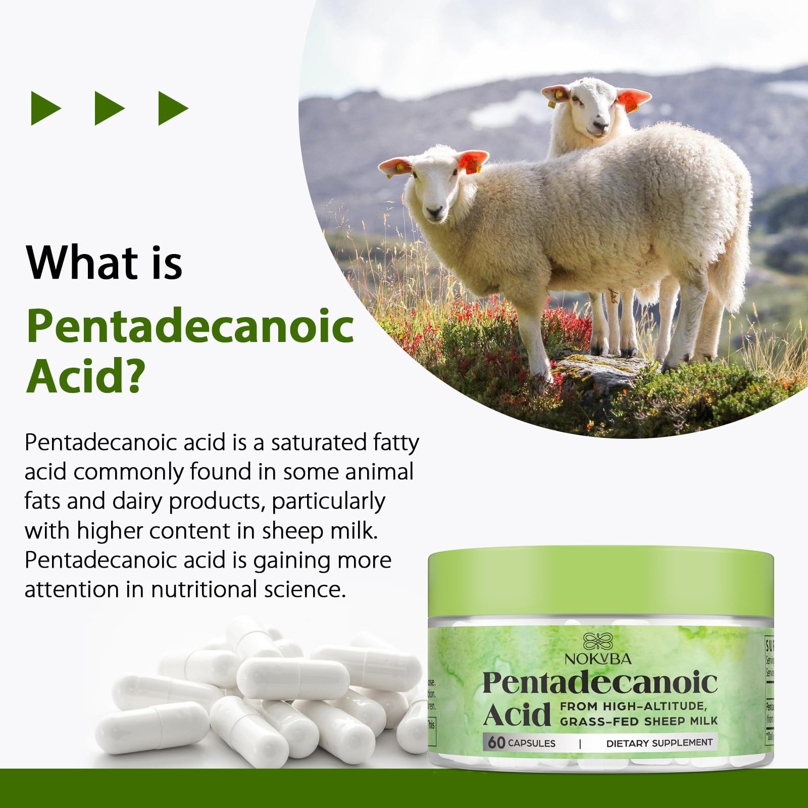 Nokuba Pentadecanoic Acid C15:0 Supplements 300mg High-Altitude Sheep Milk Sourc